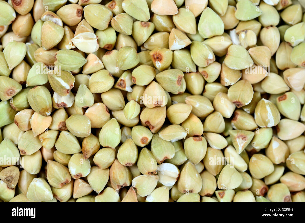 Background of green buckwheat closeup Stock Photo