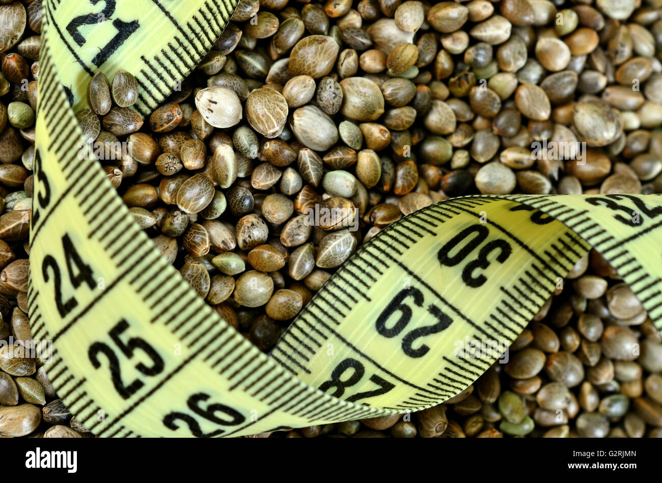 Hemp seeds with centimeter on bacground Stock Photo