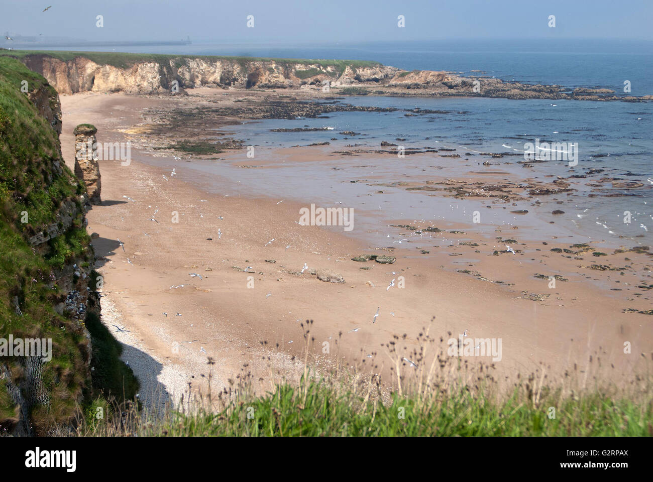 Marsden bay / The Leas, South Shields Stock Photo Alamy