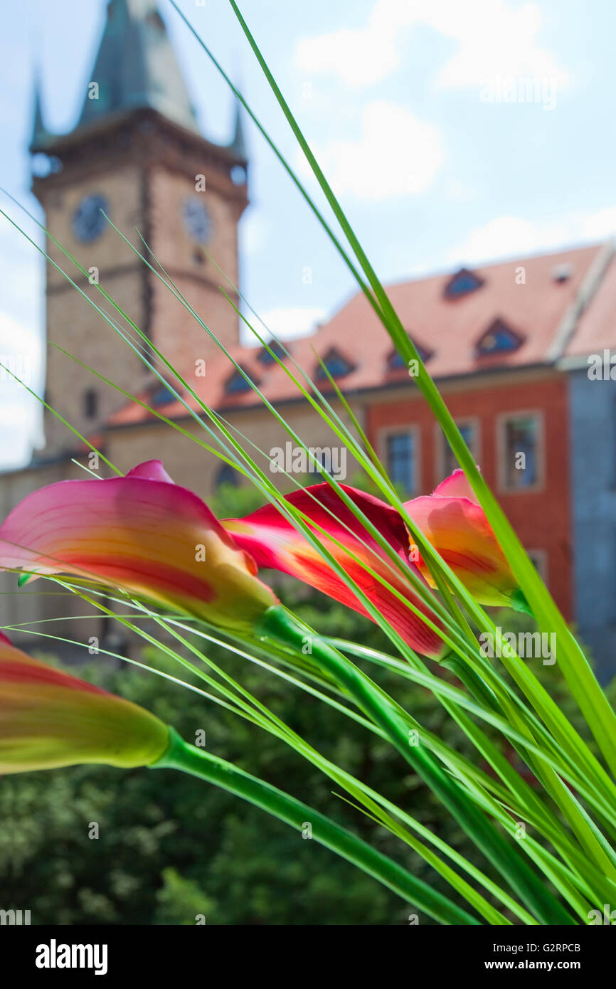 Czech Republic, Prague - Town Hall Tower through a Window. Stock Photo