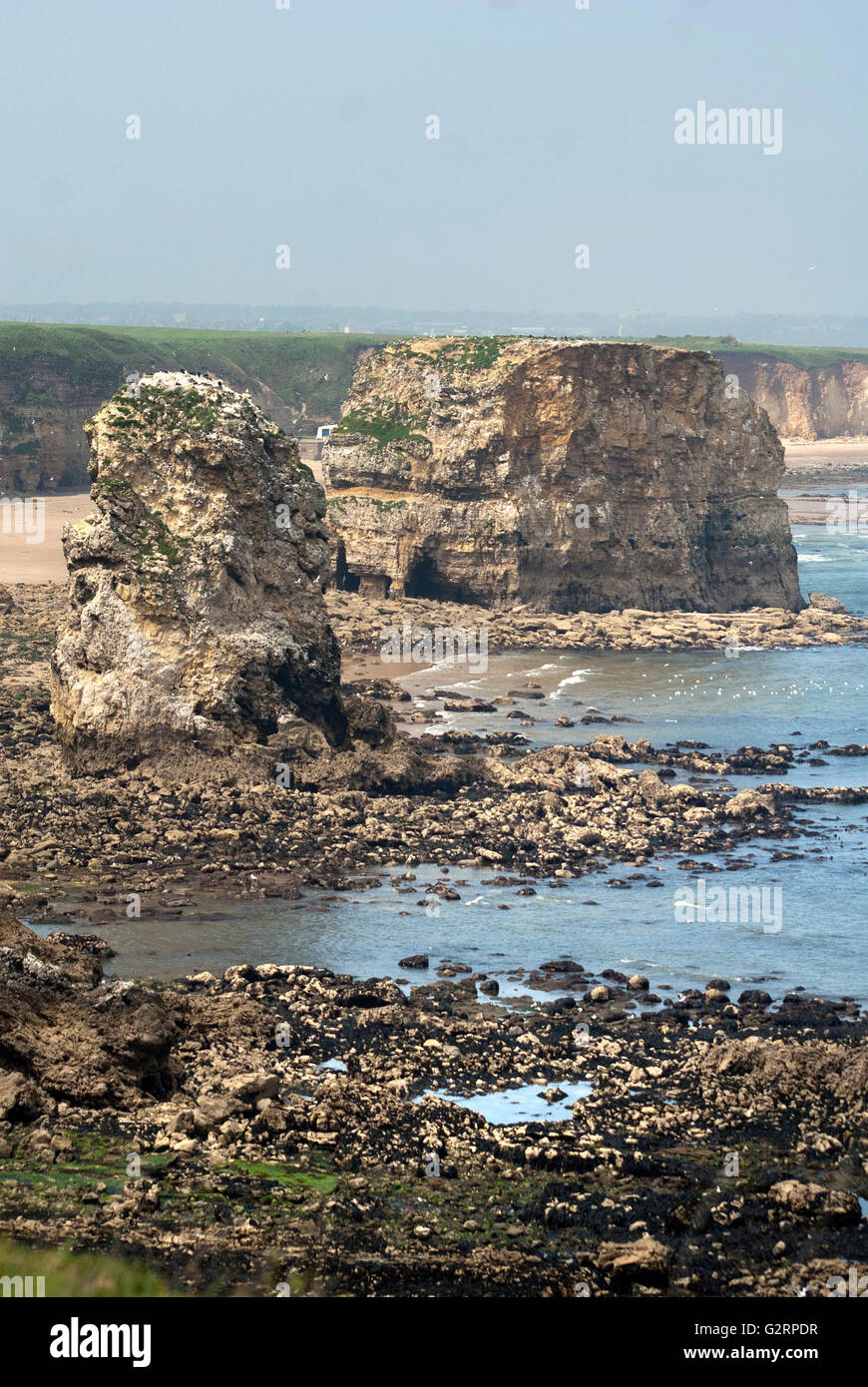 Marsden bay / The Leas, South Shields Stock Photo Alamy