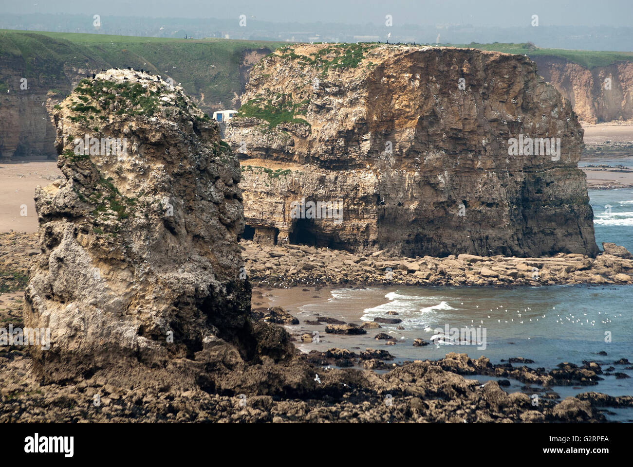 Marsden bay / The Leas, South Shields Stock Photo Alamy