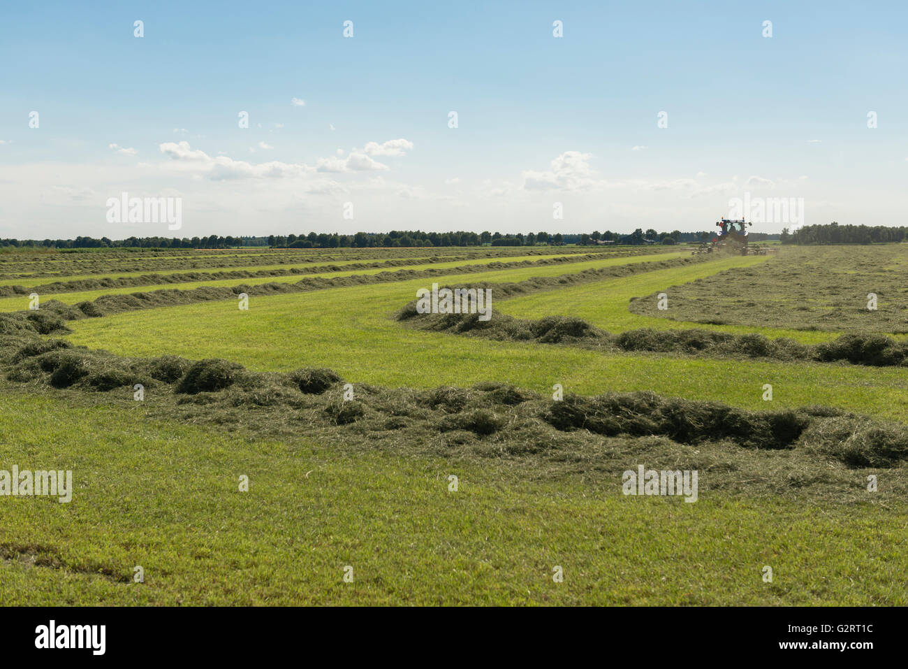 Hay shaker hires stock photography and images Alamy