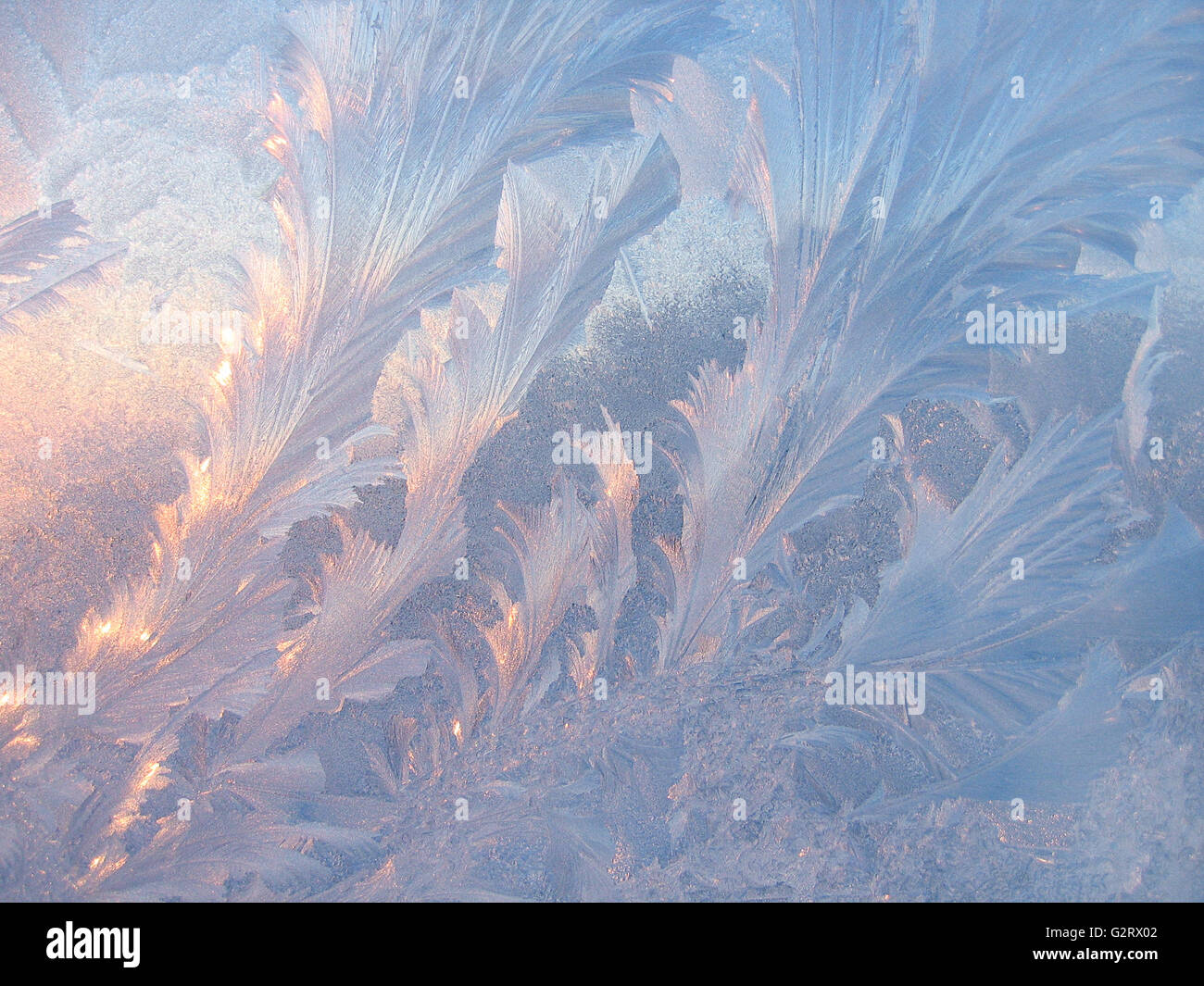 Frosty natural pattern and sunlight on winter glass Stock Photo - Alamy