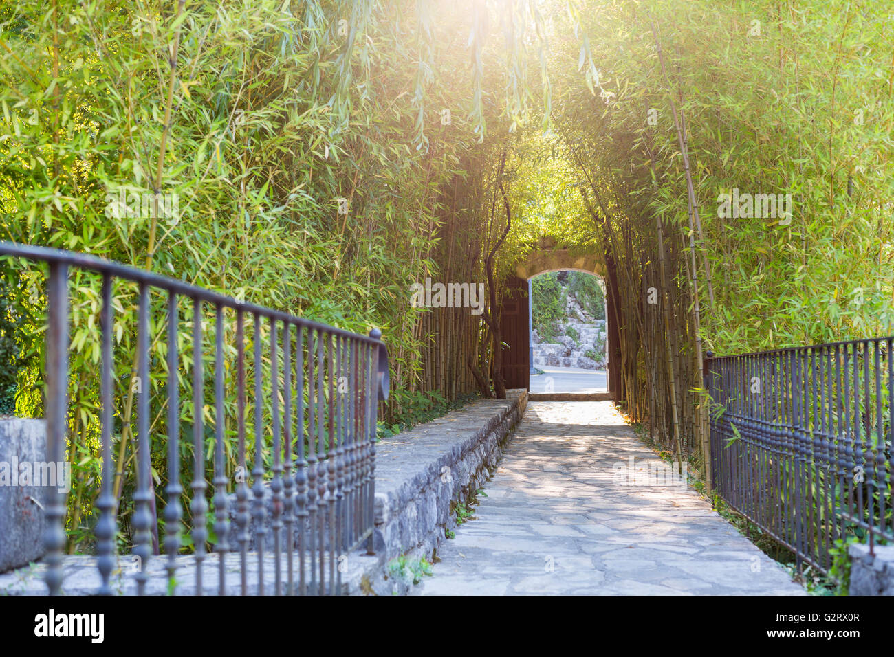 Bamboo walkway entrance to the park Stock Photo Alamy