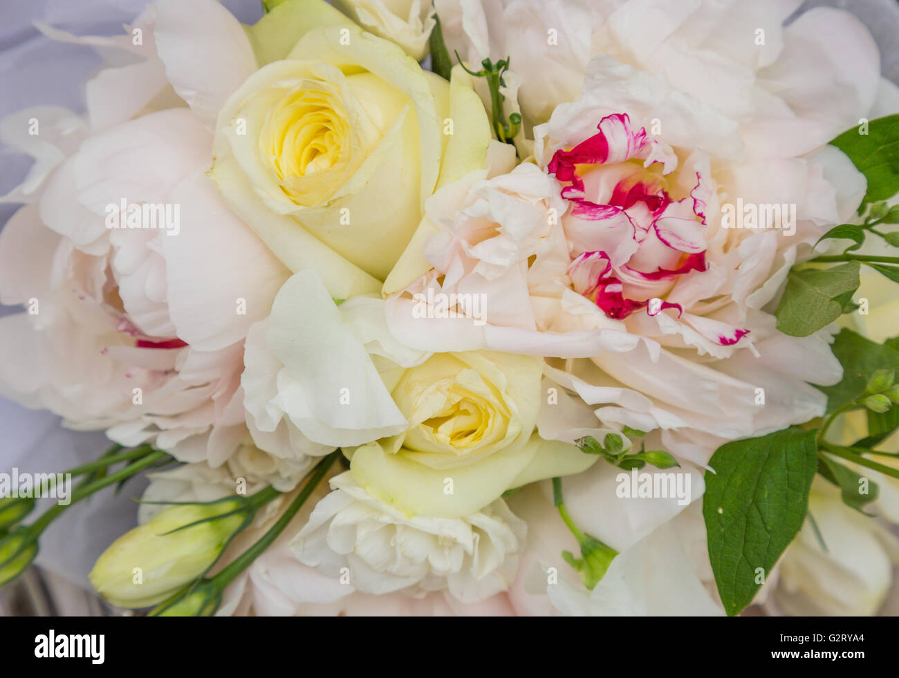 fresh cut flowers in an arrangement Stock Photo