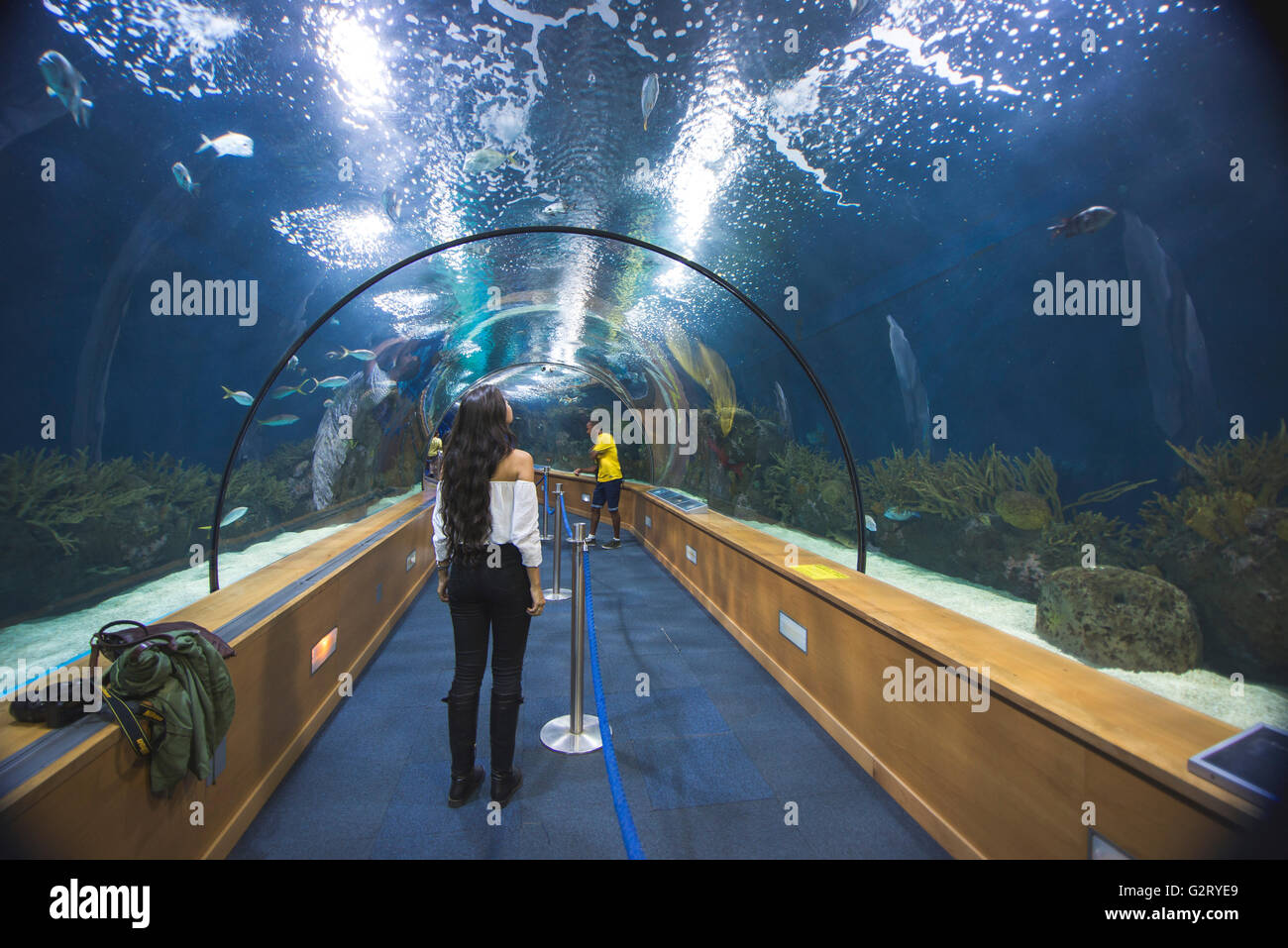 A young woman looking up and inside the aquarium of the L'Oceanografic, Valencia, Spain. Stock Photo