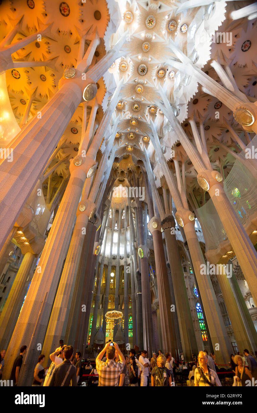 Sagrada Familia Interior Color
