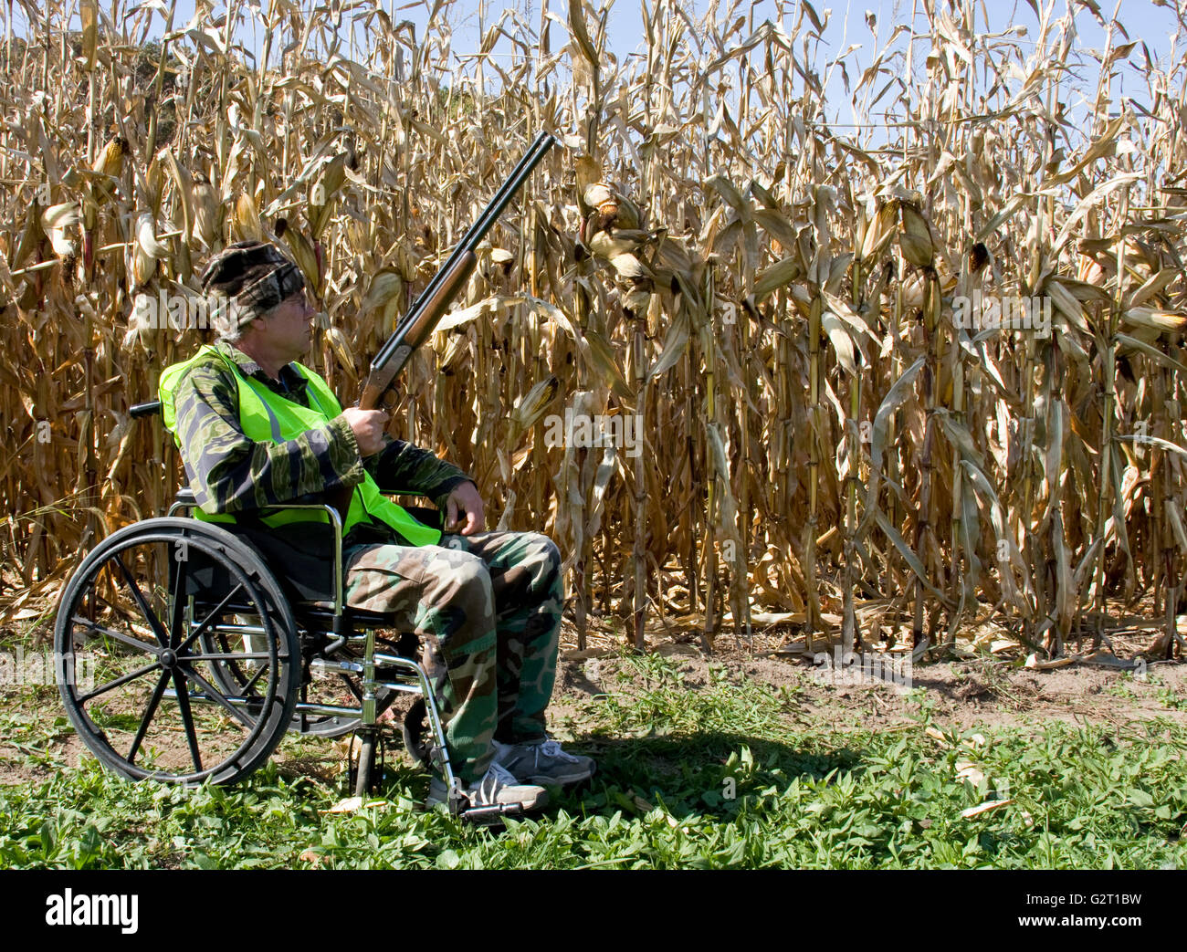 handicapped hunter in a wheelchair wearing a safety vest with a corn field in the background Stock Photo