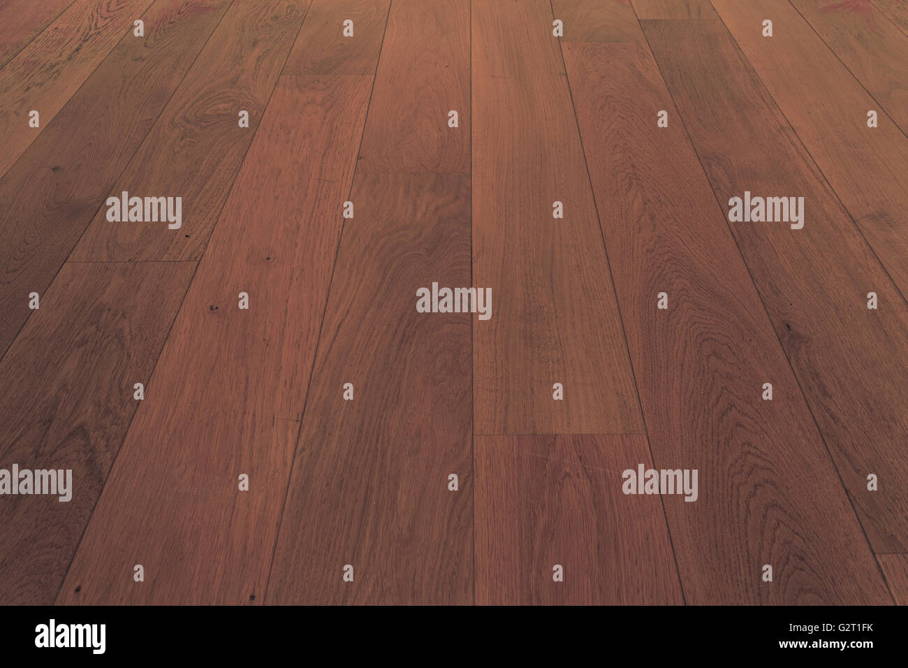 wooden parquet  floor  - wood flooring macro Stock Photo