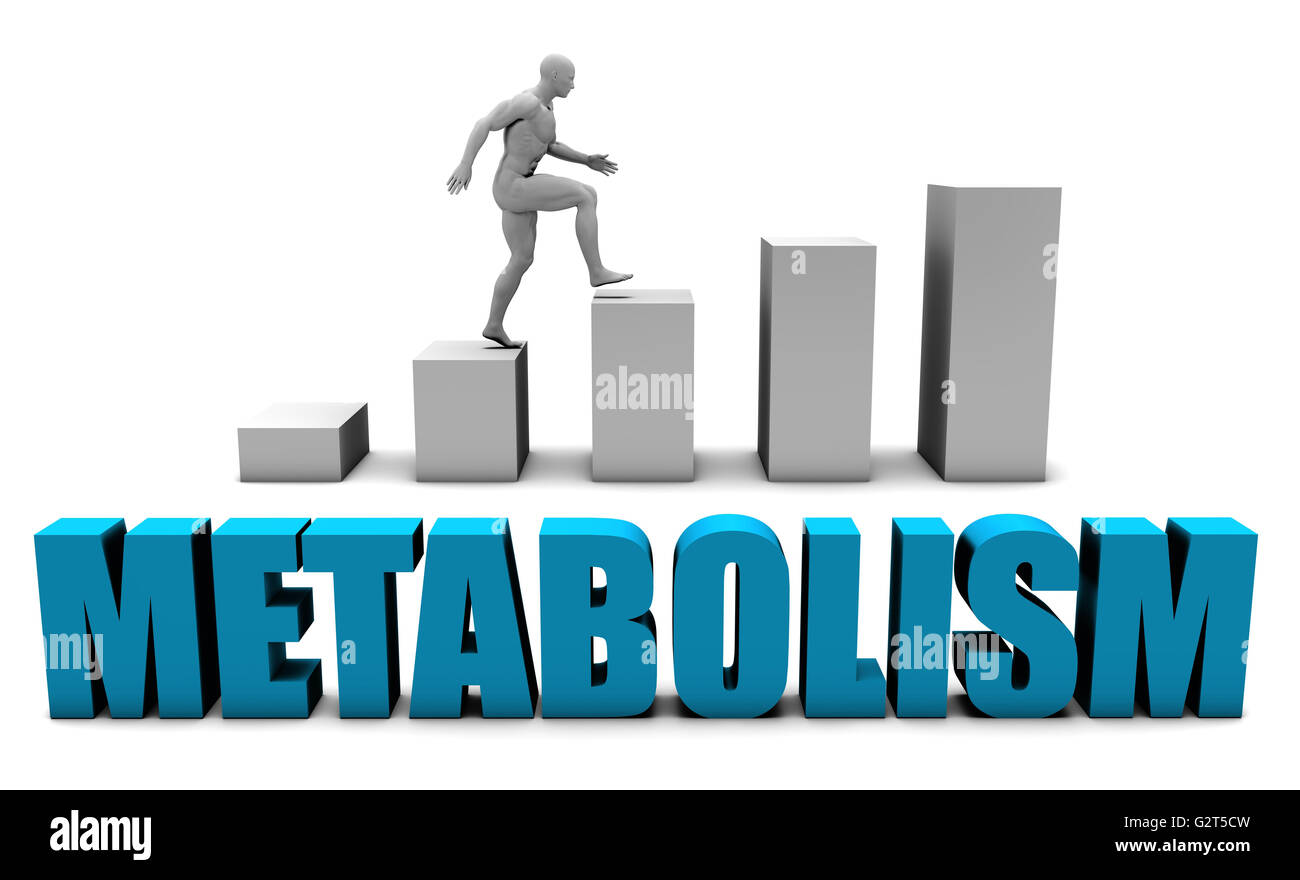 Metabolism 3D Concept  in Blue with Bar Chart Graph Stock Photo
