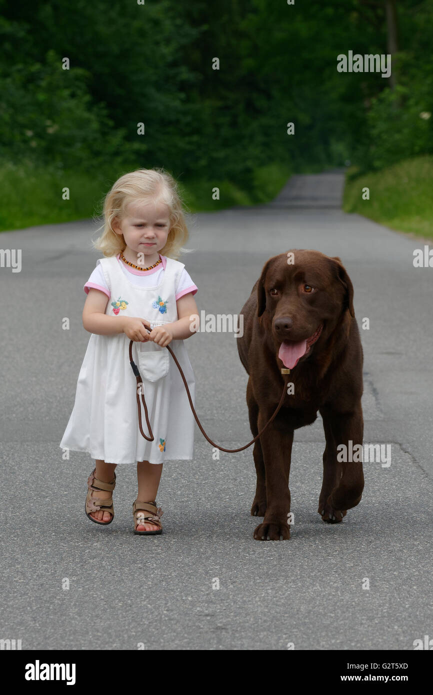 Girl walking her Labrador Retriever dog Stock Photo Alamy