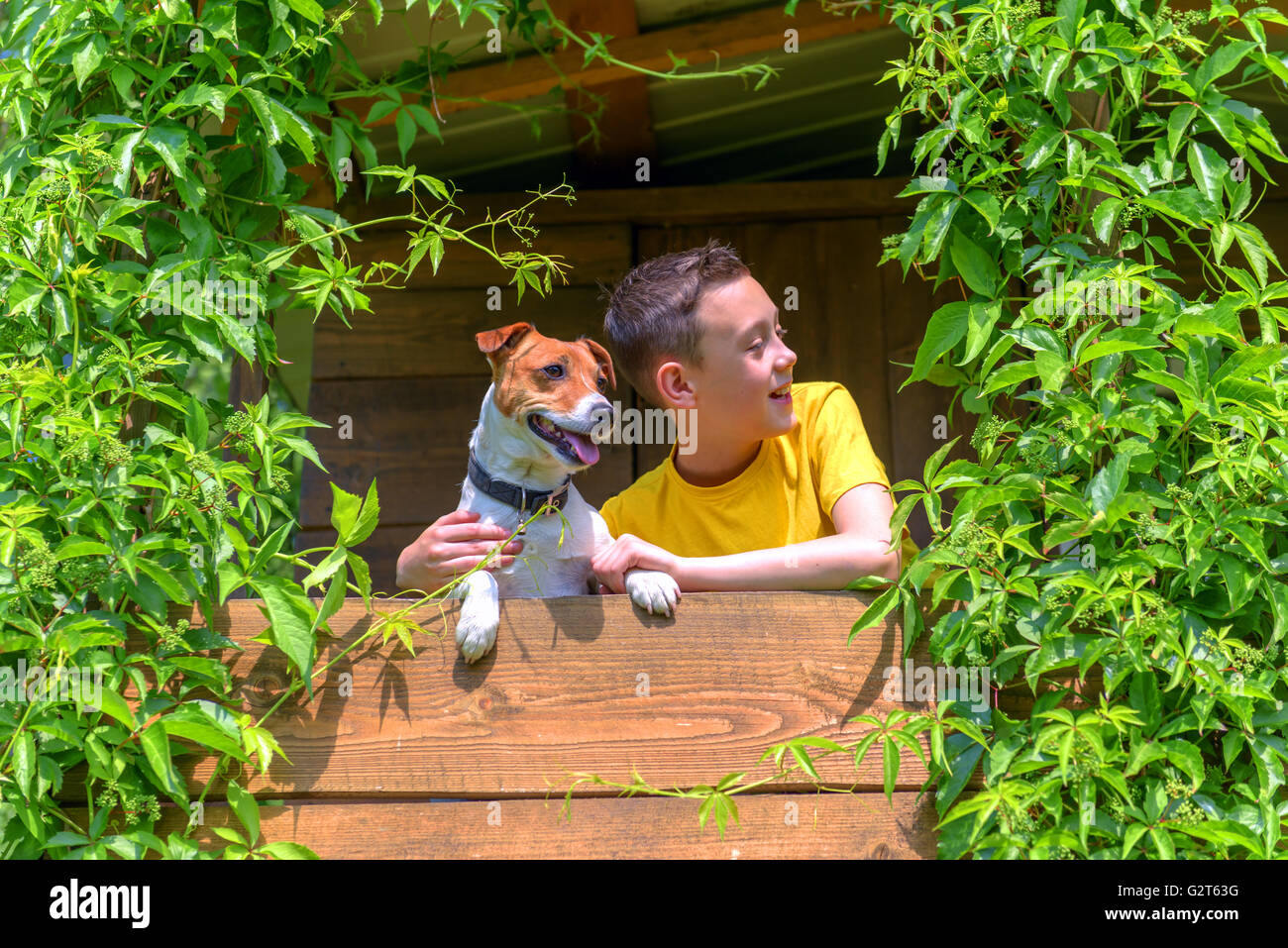 Smiling boy with dog on treehouse. Summer time! Stock Photo