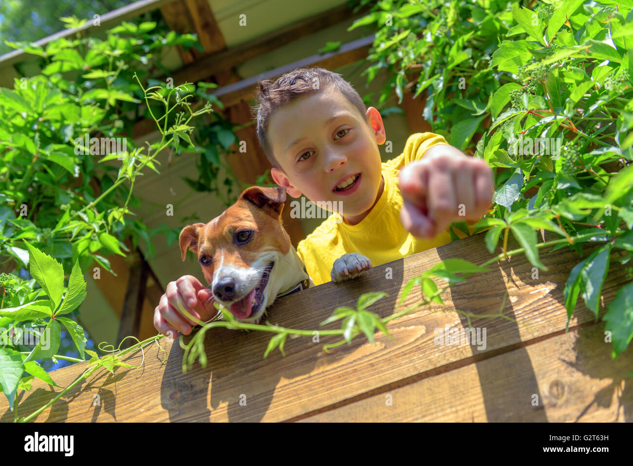 Smiling boy with dog on treehouse. Summer time! Stock Photo