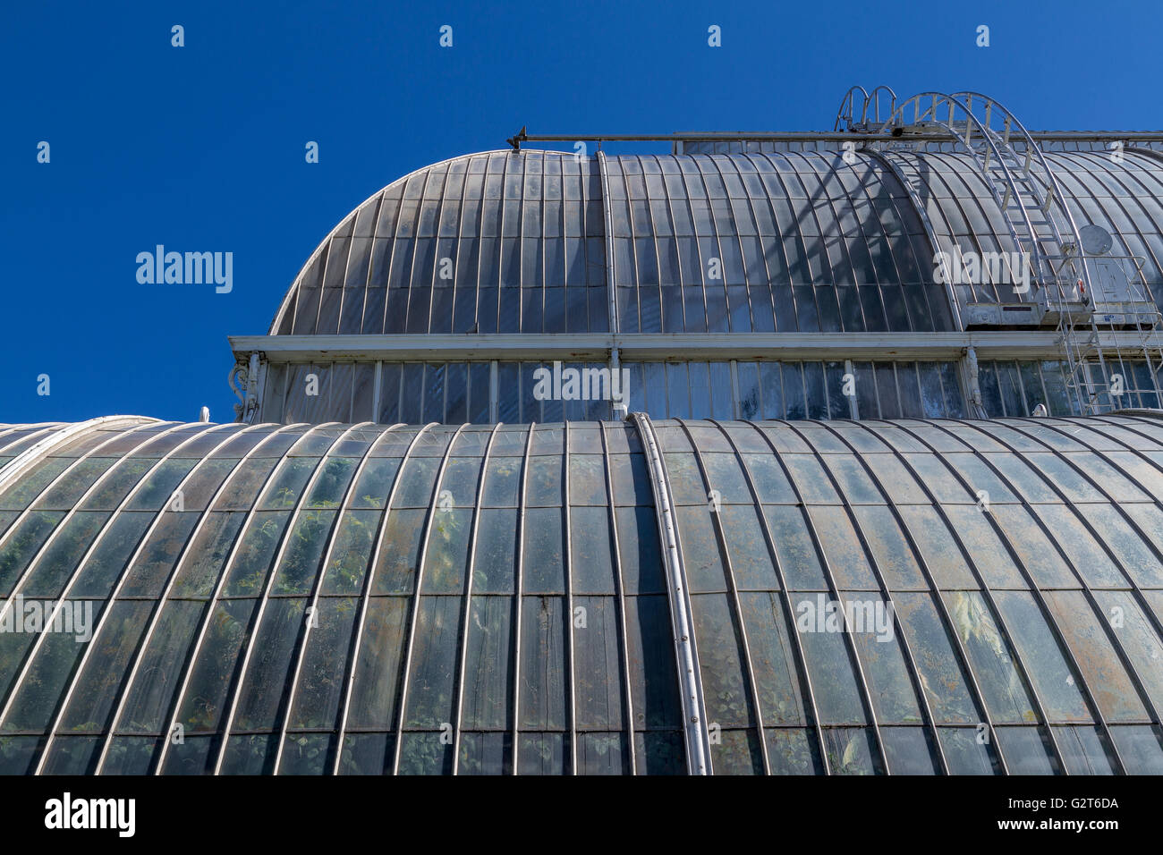 The Palm House At The Royal Botanic Gardens, Kew , London .UK Stock Photo