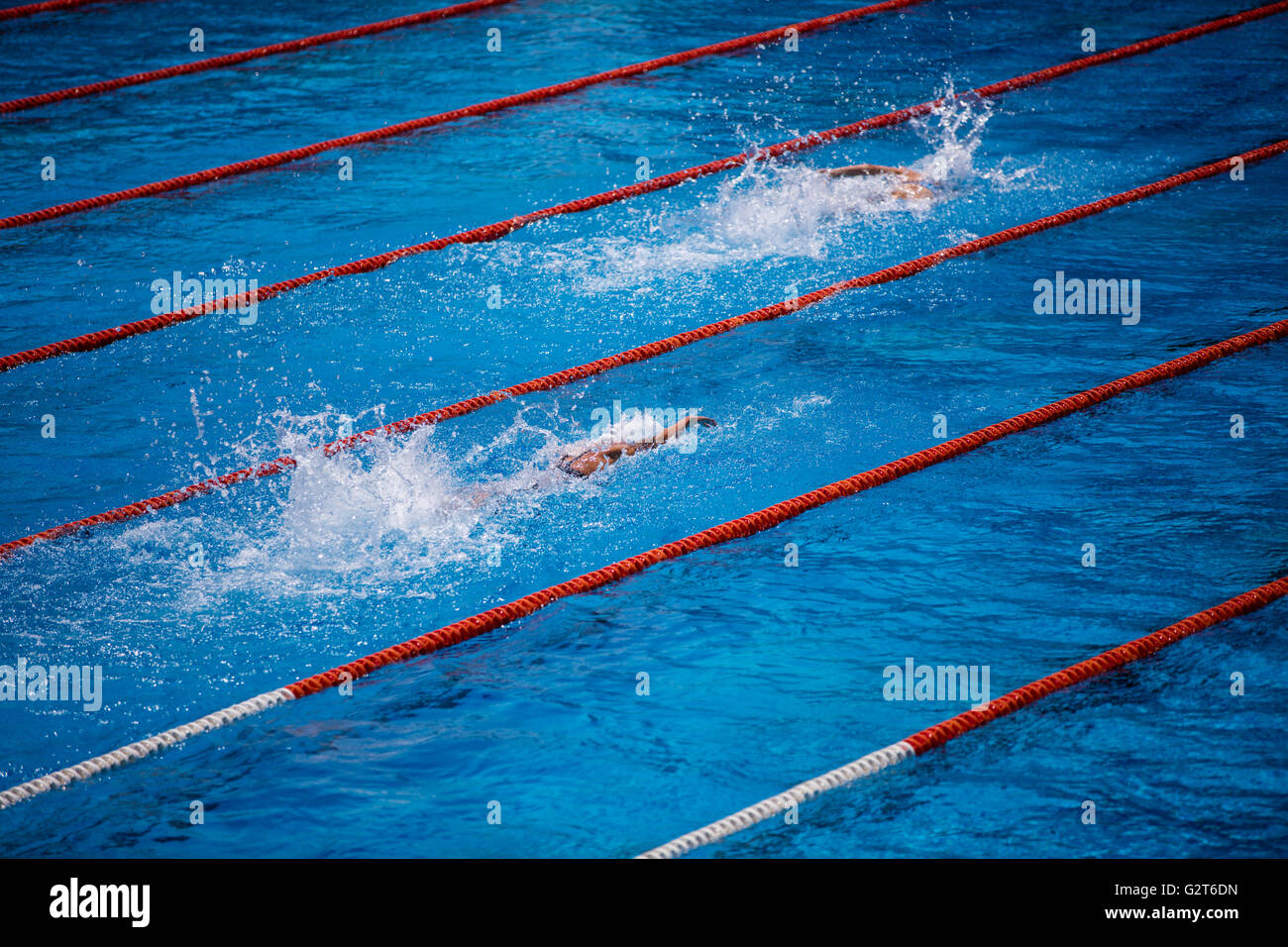 Empty olympic swimming pool with clear blue water and swimmer crawl race Stock Photo
