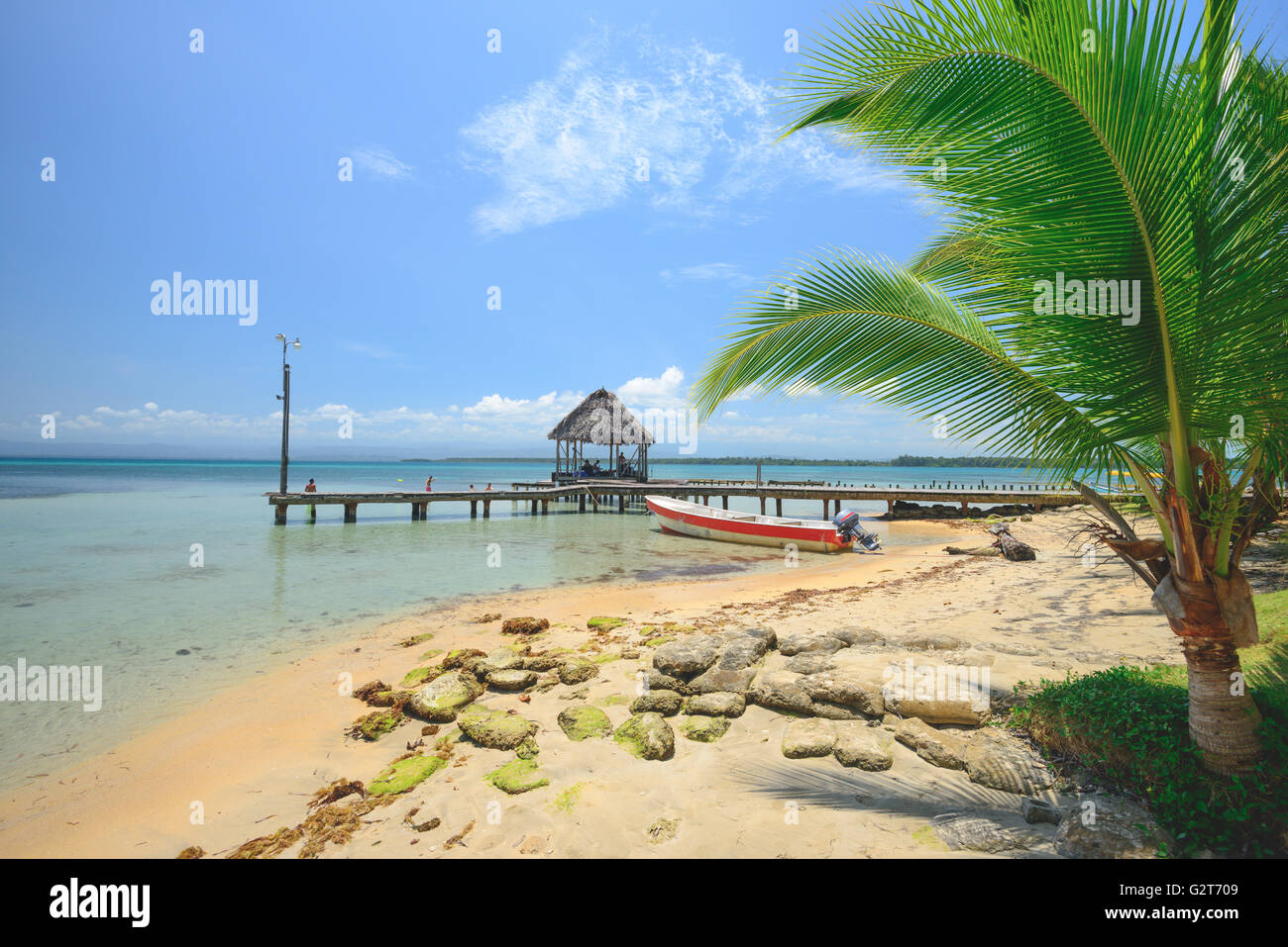 Star fish beach in Bocas Del Toro, Panama Stock Photo