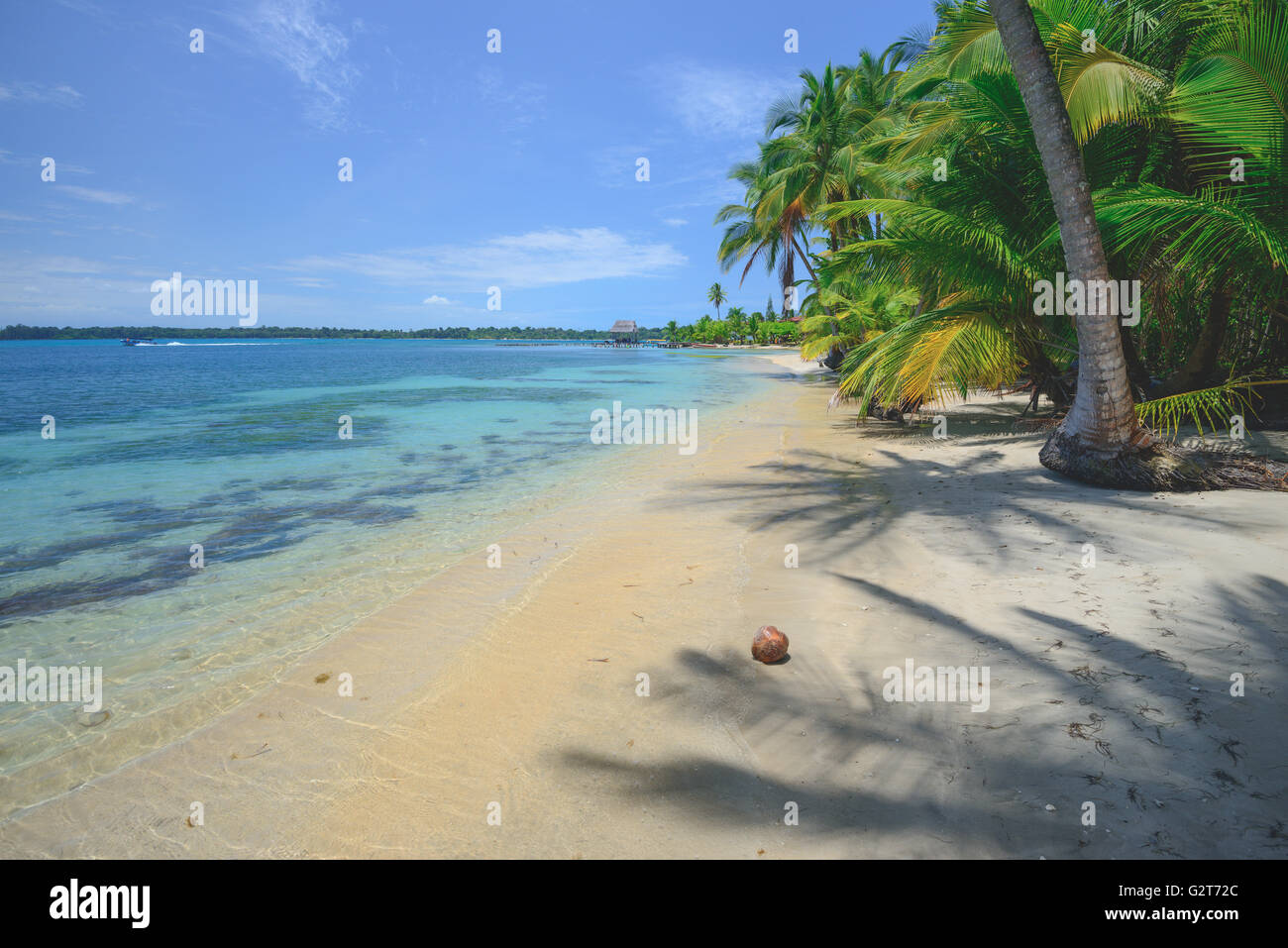 Star fish beach in Bocas Del Toro, Panama Stock Photo