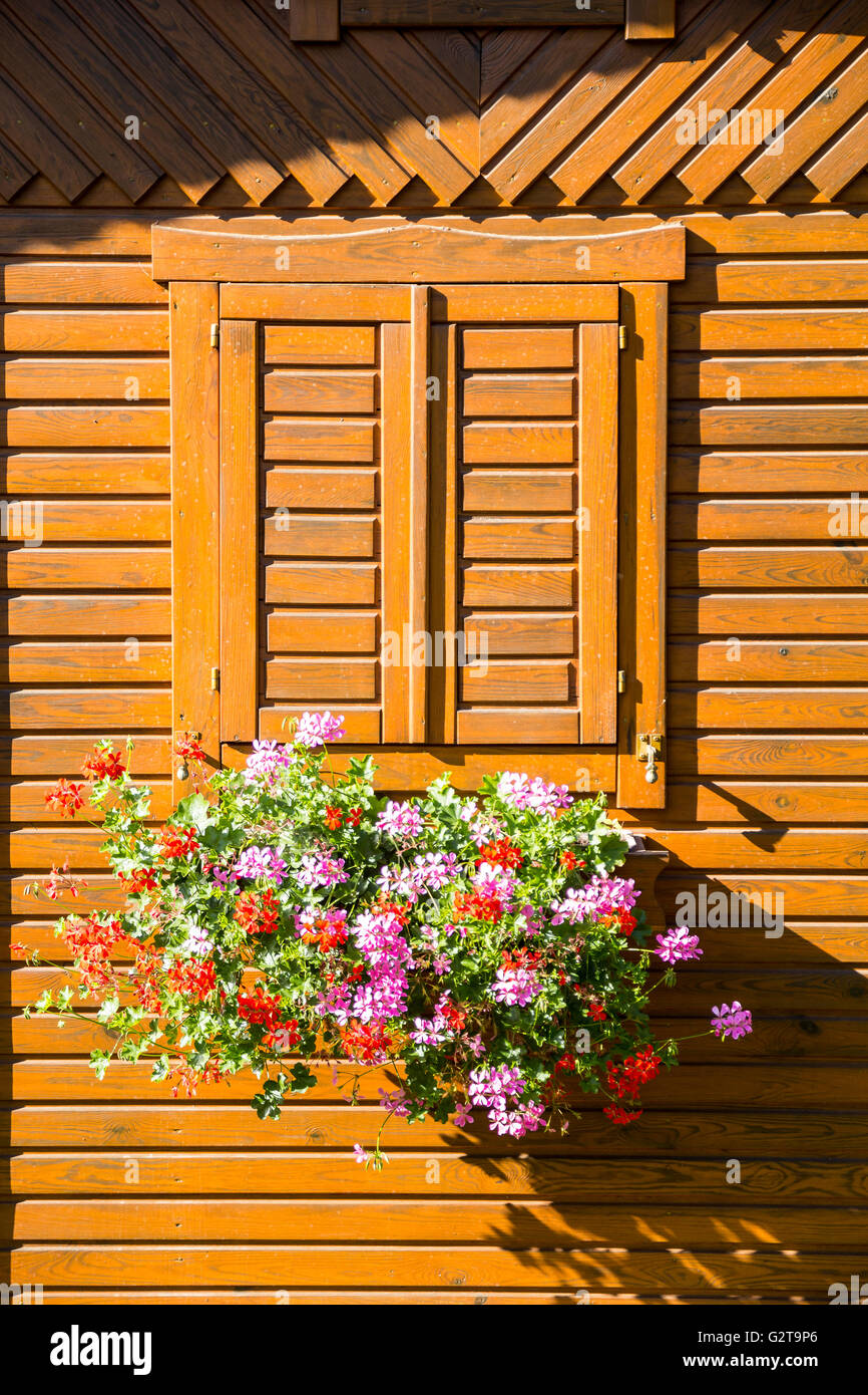 02.08.2015, Berlin, Berlin, Germany - Geraniums box in front of a closed allotment foliage window. 0GB150802D101CAROEX.JPG - NOT for SALE in G E R M A N Y, A U S T R I A, S W I T Z E R L A N D [MODEL RELEASE: NOT APPLICABLE, PROPERTY RELEASE: NO, (c) caro photo agency / Baertels, http://www.caro-images.com, info@carofoto.pl - Any use of this picture is subject to royalty!] Stock Photo