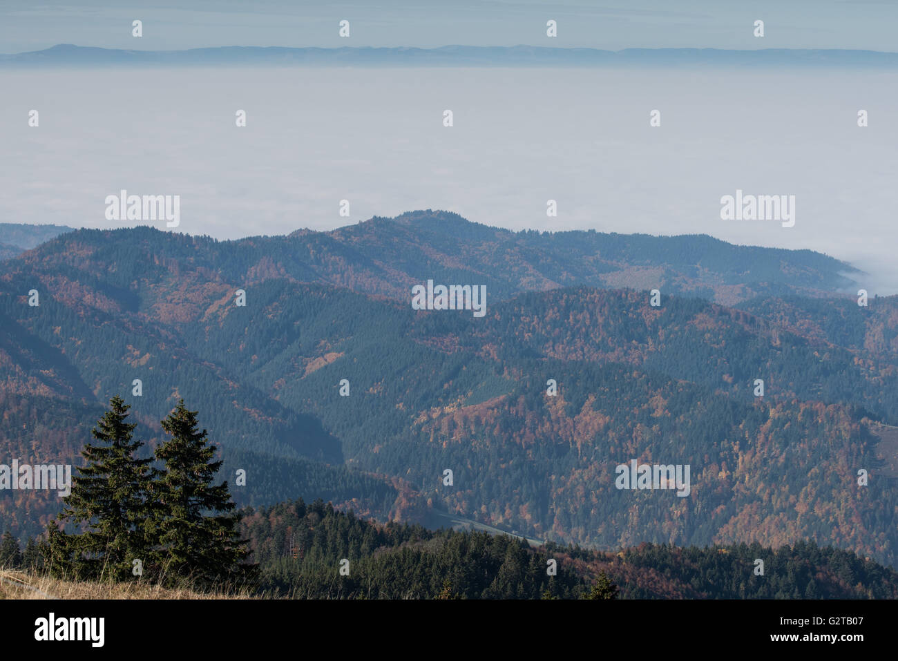 27.10.2015, Schoenau im Schwarzwald, Baden-Wuerttemberg, Germany - View from Belchen towards the Swiss Alps. 00K151029D475CAROEX.JPG - NOT for SALE in G E R M A N Y, A U S T R I A, S W I T Z E R L A N D [MODEL RELEASE: NOT APPLICABLE, PROPERTY RELEASE: NO, (c) caro photo agency / Kaiser, http://www.caro-images.com, info@carofoto.pl - Any use of this picture is subject to royalty!] Stock Photo
