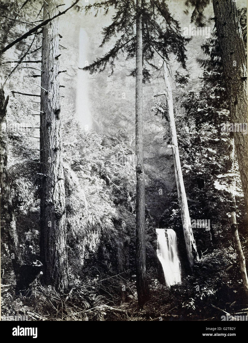 Carleton Emmons Watkins - Multnomah Falls, Cascades, Columbia River - Stock Photo