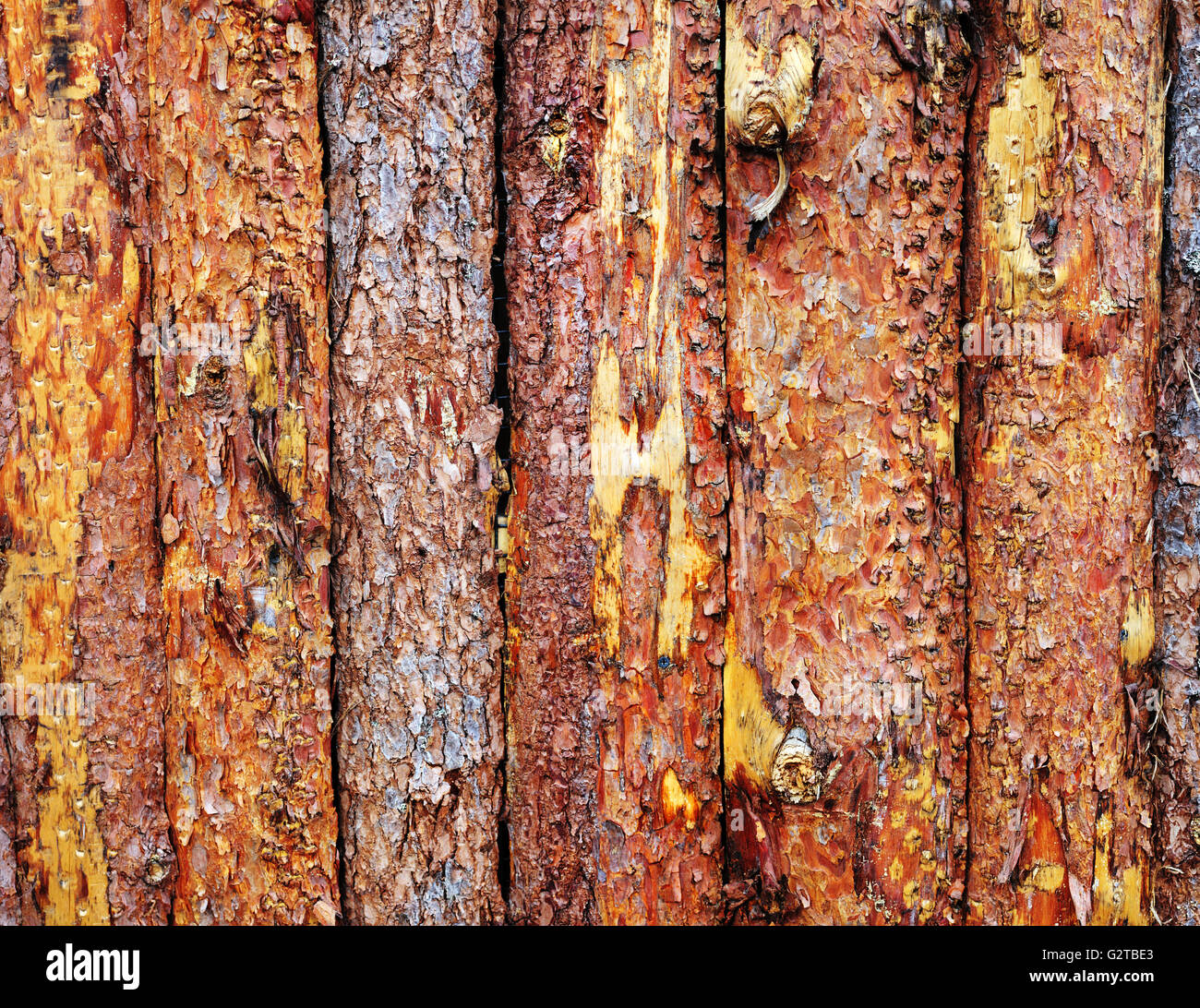Pine wood fence as a background Stock Photo