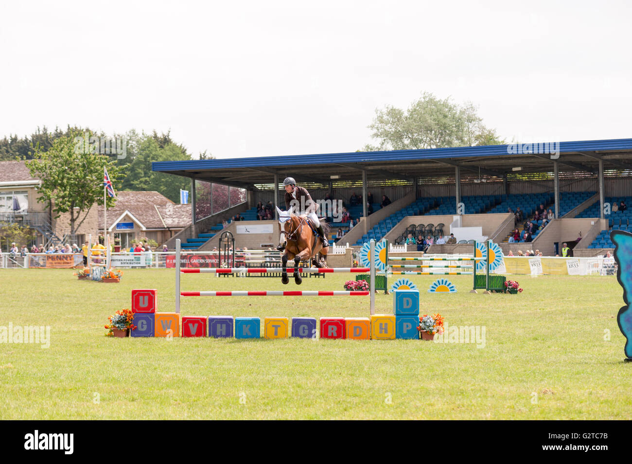 [horse jumping] horse jumping [show jumping] Stock Photo Alamy