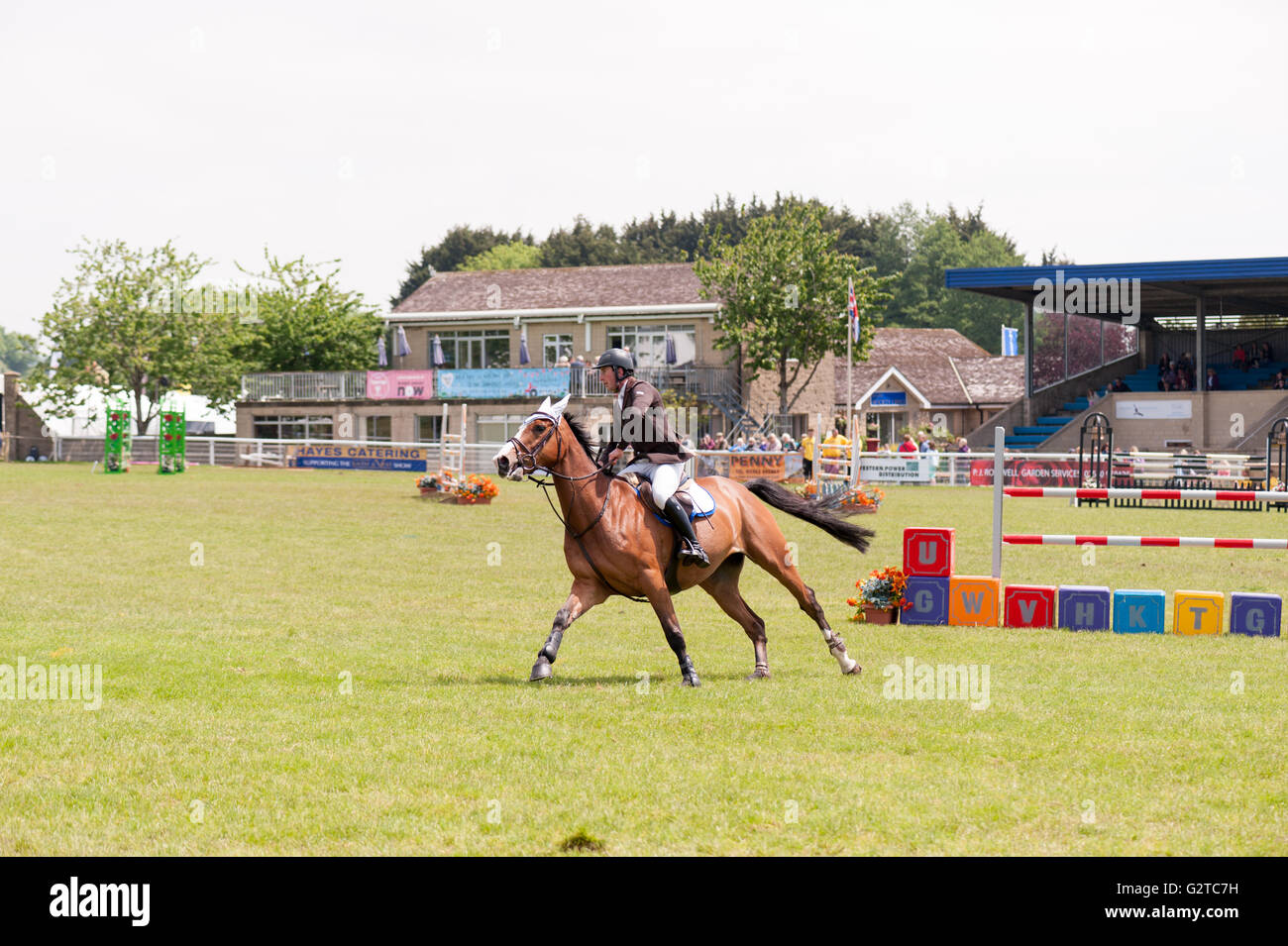 [horse jumping] horse jumping [show jumping] Stock Photo Alamy