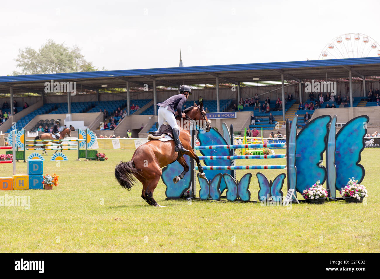 [horse jumping] horse jumping [show jumping] Stock Photo Alamy