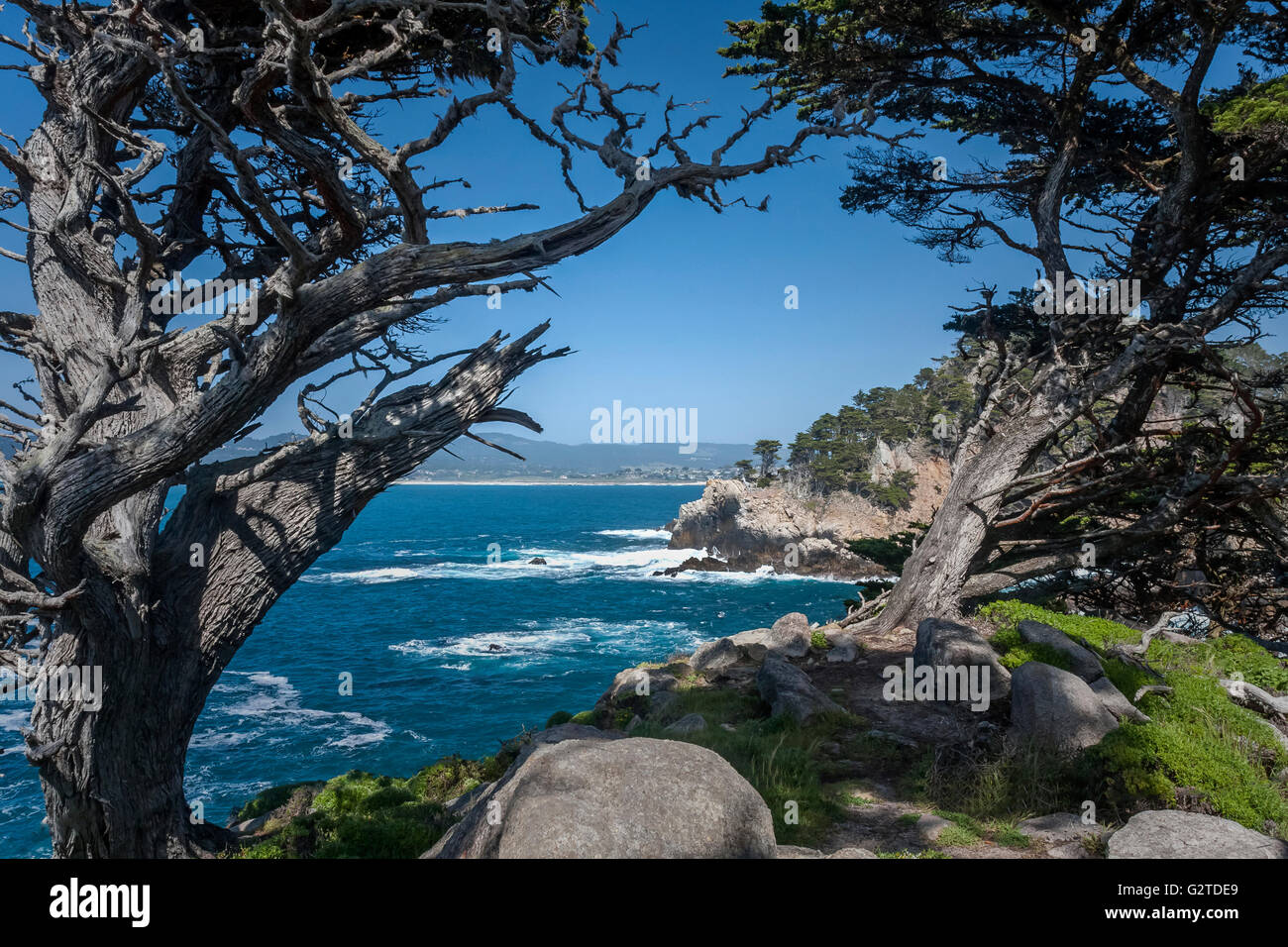 Taken at Point Lobos State Park in California. Stock Photo