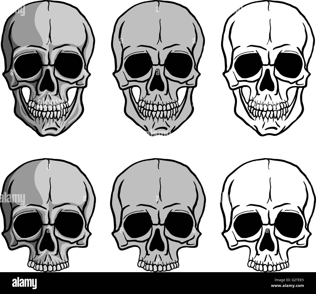 Human Skulls vector set Stock Vector