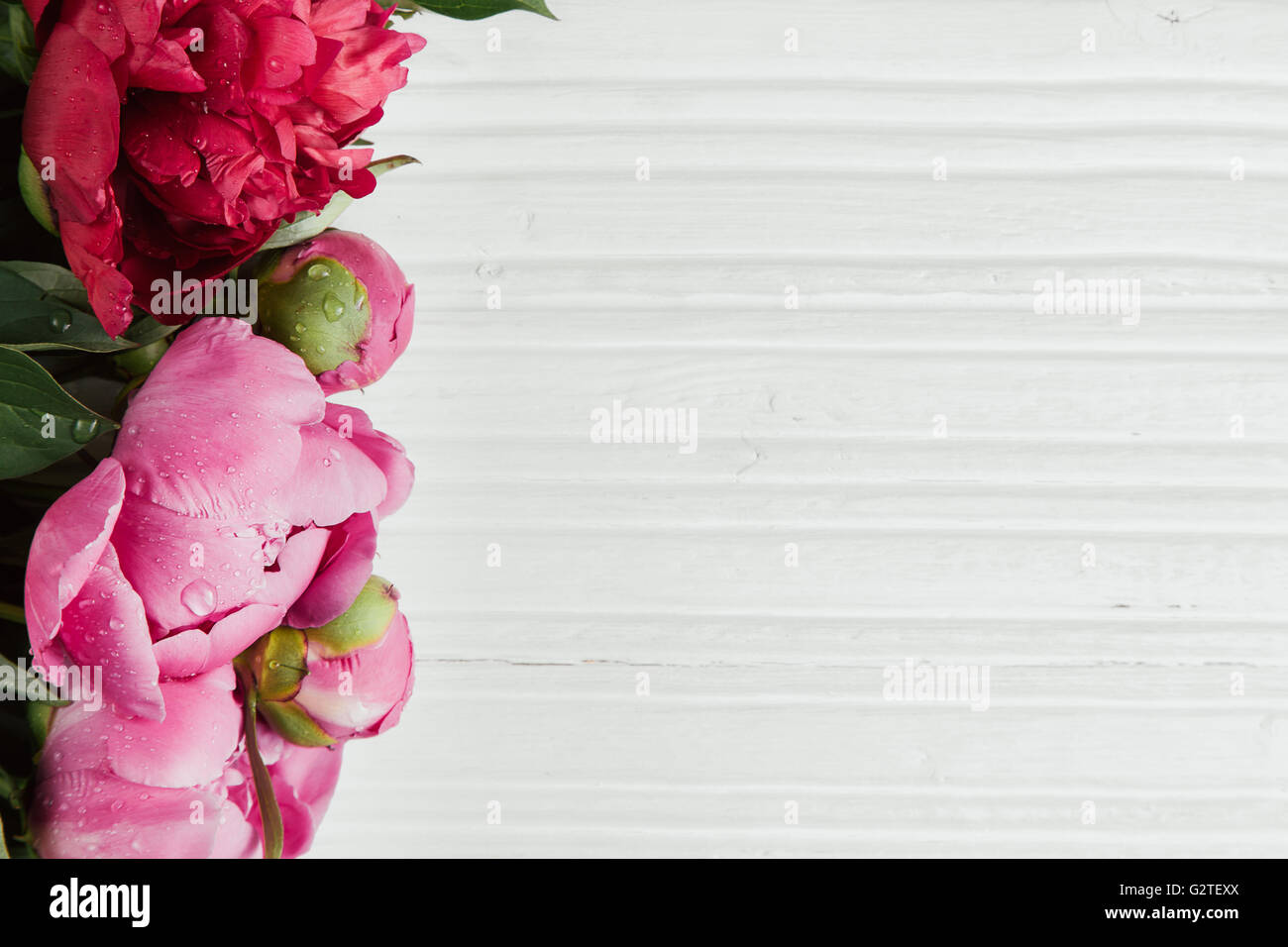 Pink peonies on white wooden table with copy space Stock Photo - Alamy