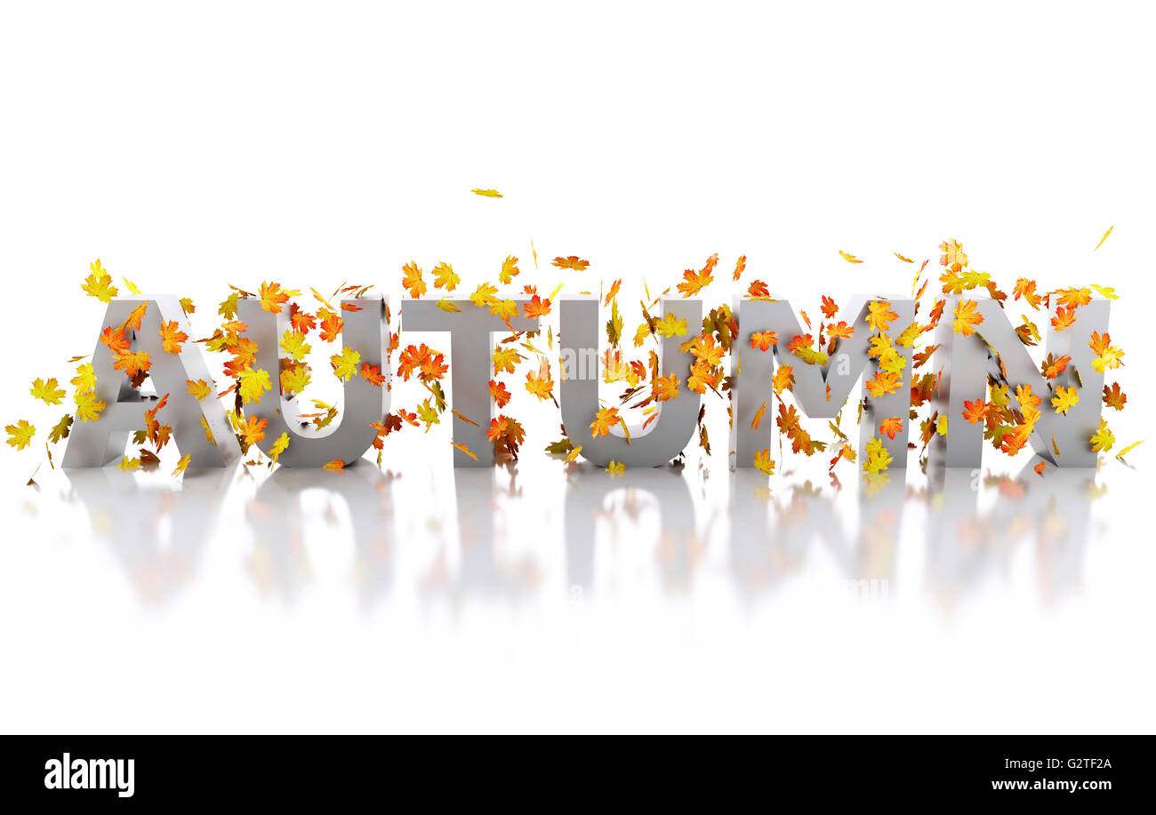 3d renderer image. Word autumn decorated with leaves. Isolated white background. Stock Photo