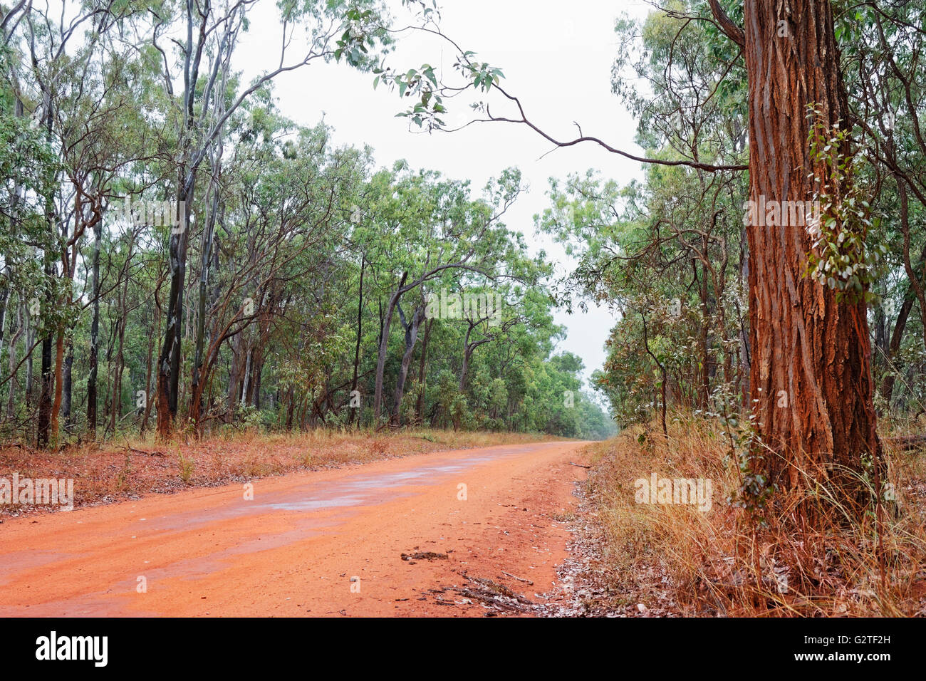 Australian bush scene hires stock photography and images Alamy