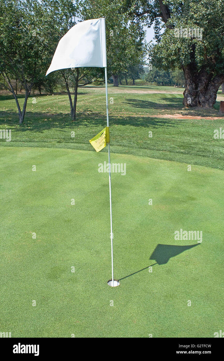 Golf flag waving Stock Photo Alamy