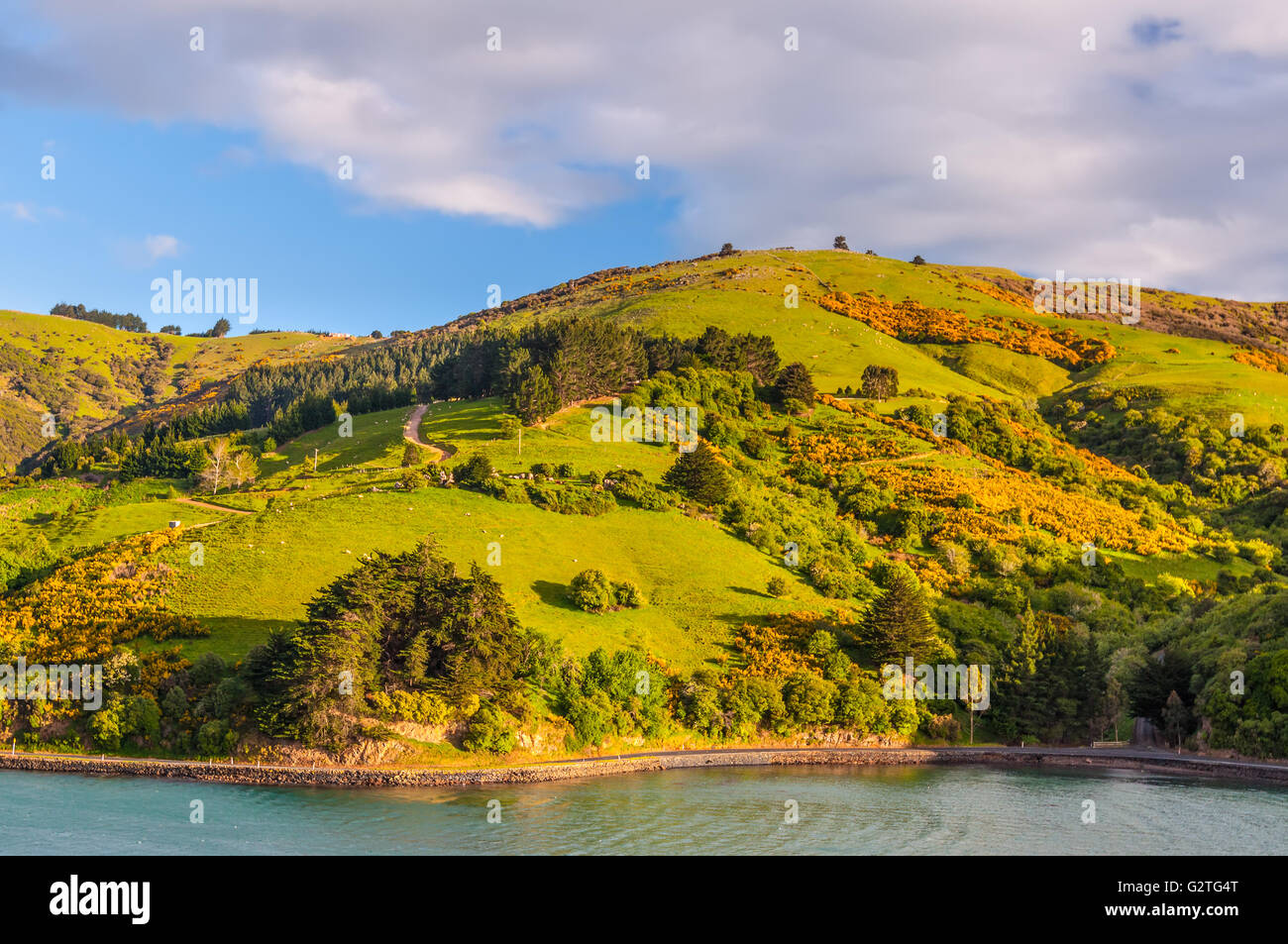 New Zealand coastal landscape - A happy sunny day at Otago Region Southern island New Zealand Stock Photo