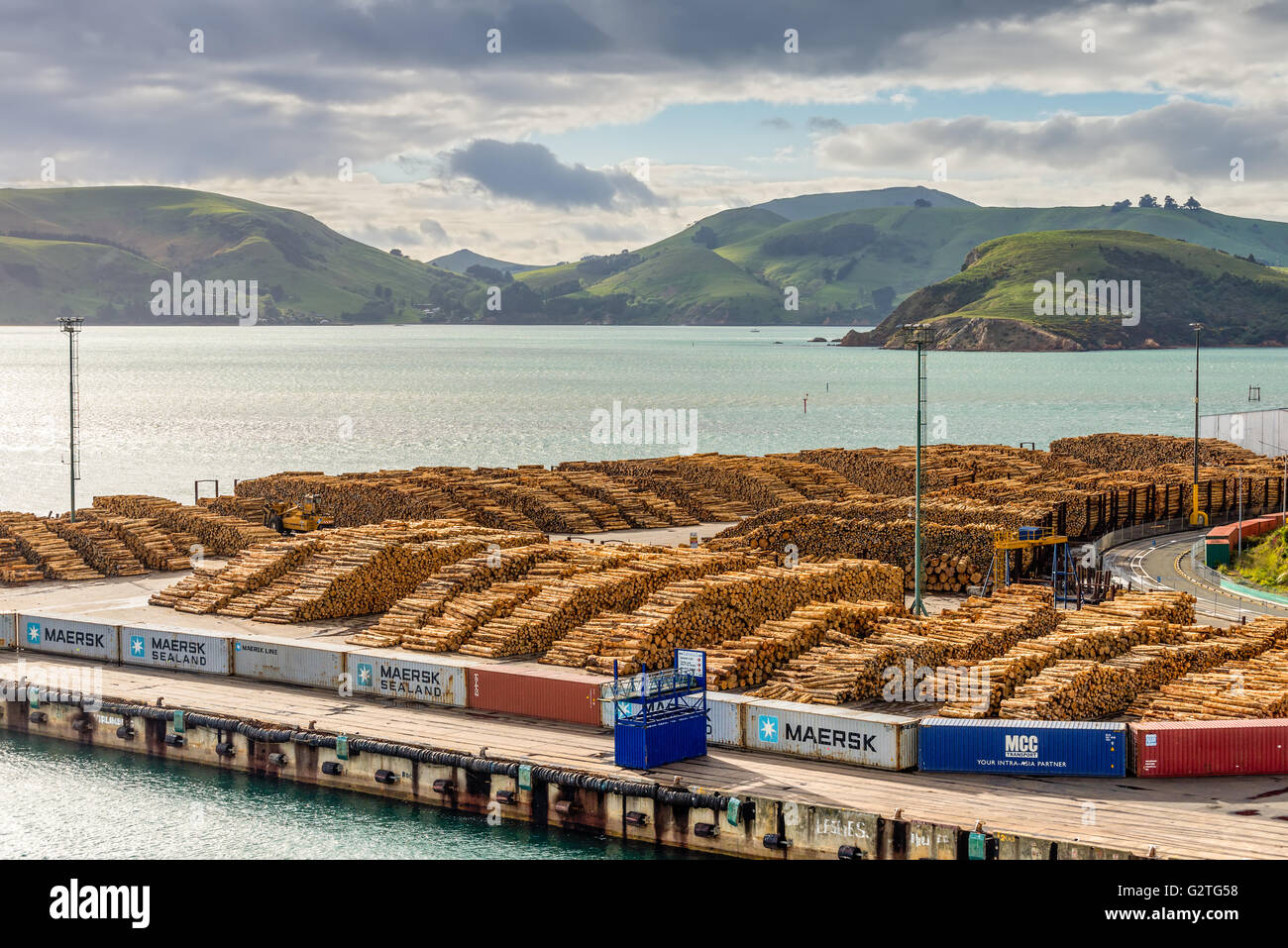 Timber is ready for shipping at a dock, Port Chalmers, Dunedin, Otago region, South Island, New Zealand Stock Photo