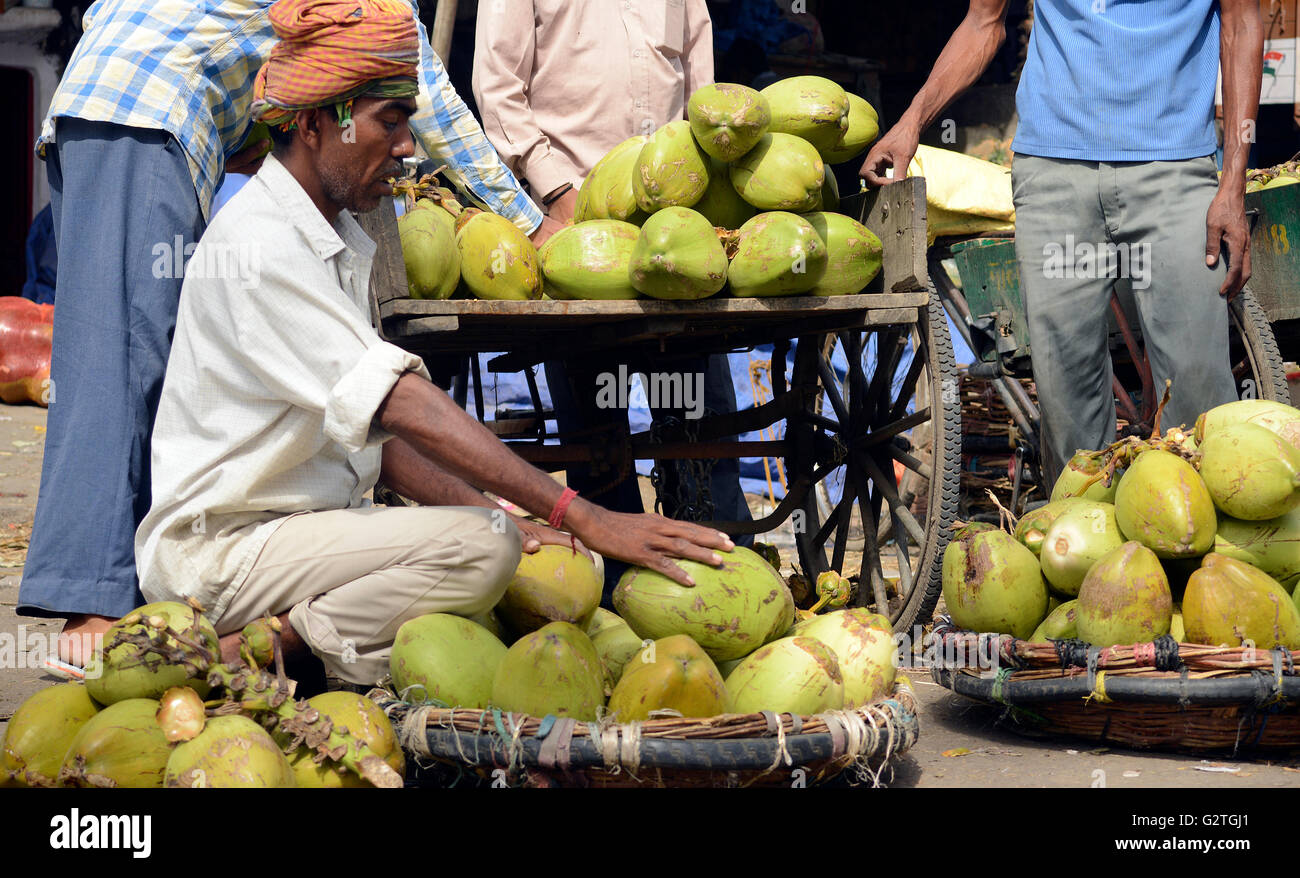 Selling coconut fruit market india hires stock photography and images Alamy