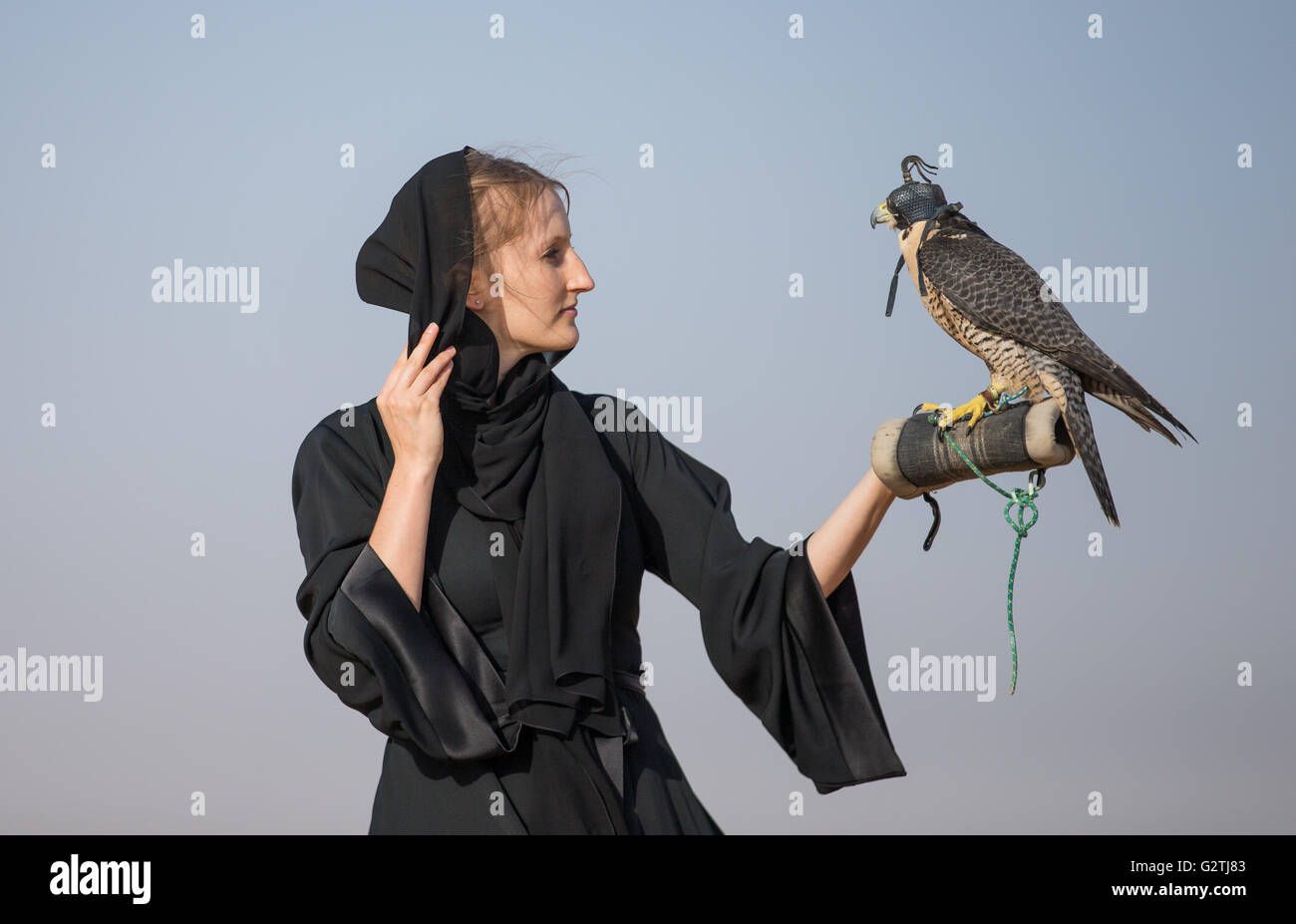A woman wearing an abaya looking a peregrine falcon on her hand Stock Photo