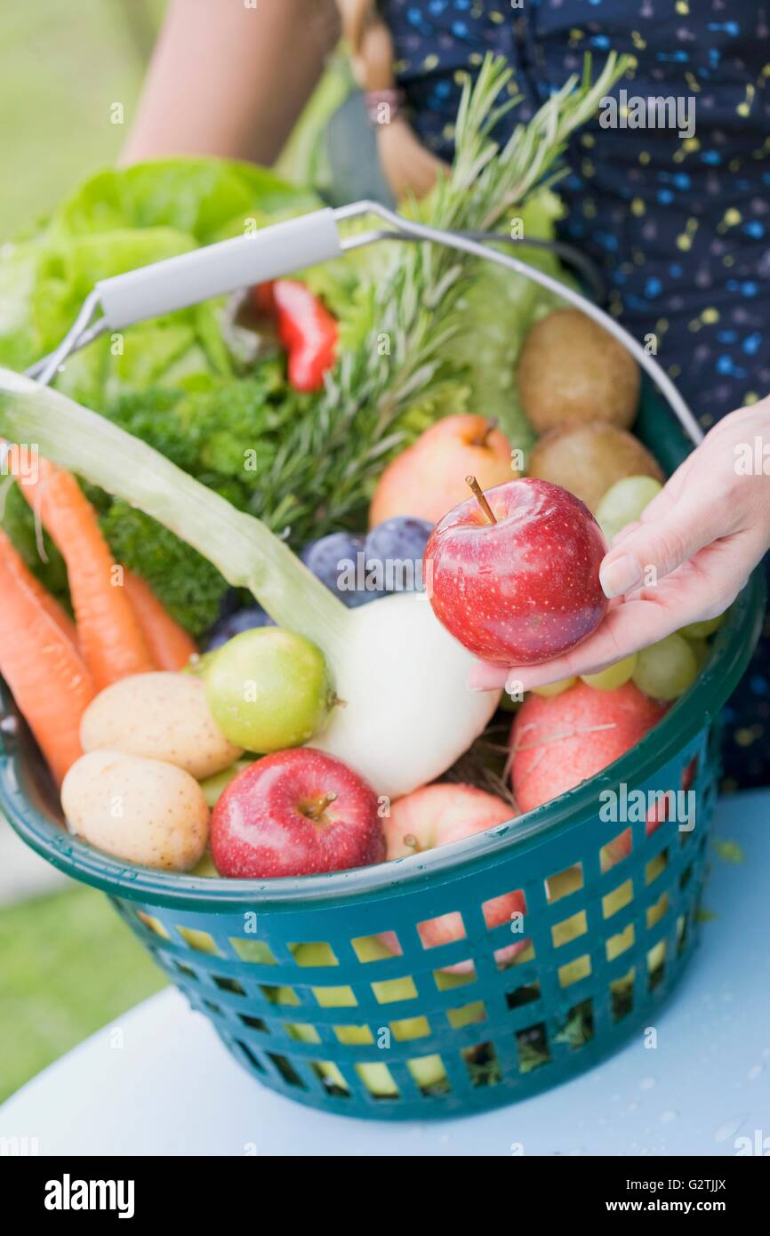 A woman showing apples from a basket of fresh fruit and vegetables ...