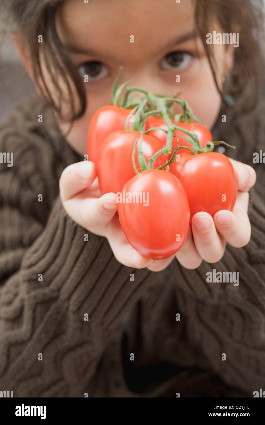 Girl holding tomatoes on the vine Stock Photo - Alamy