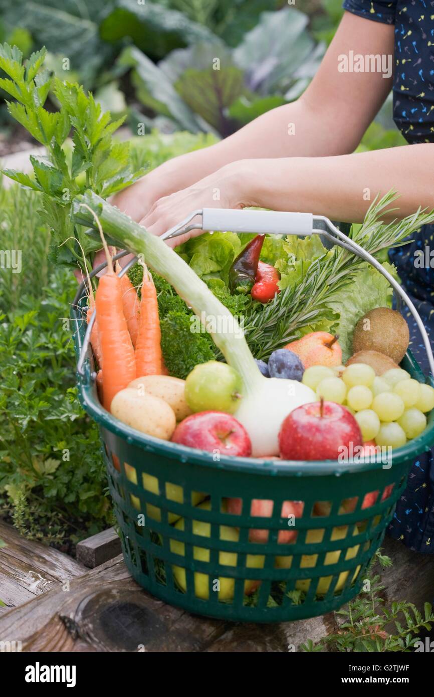 Fruit vegetables in basket hi-res stock photography and images - Alamy