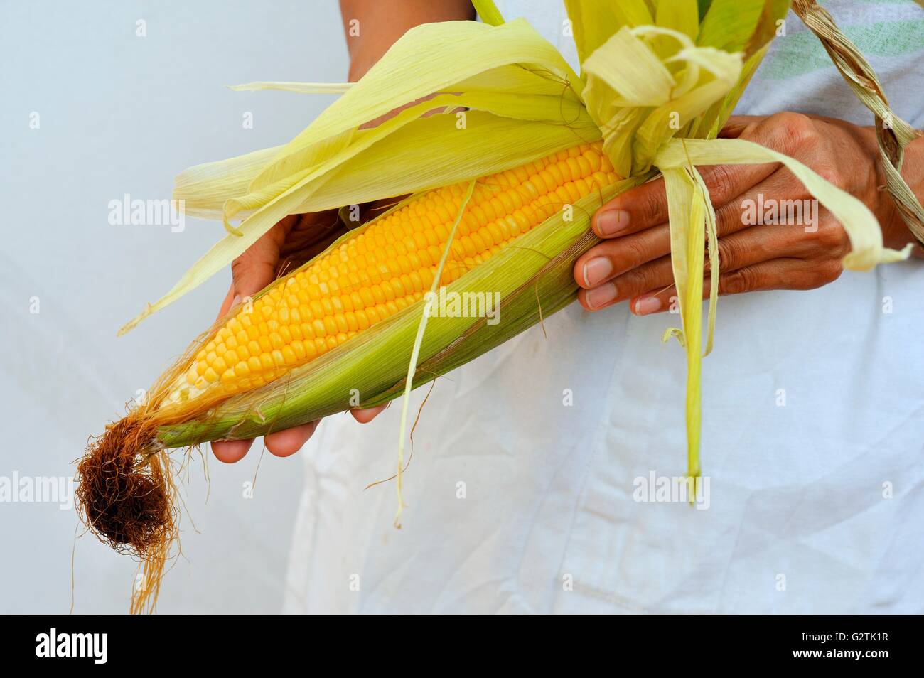 A woman holding a corn cob Stock Photo