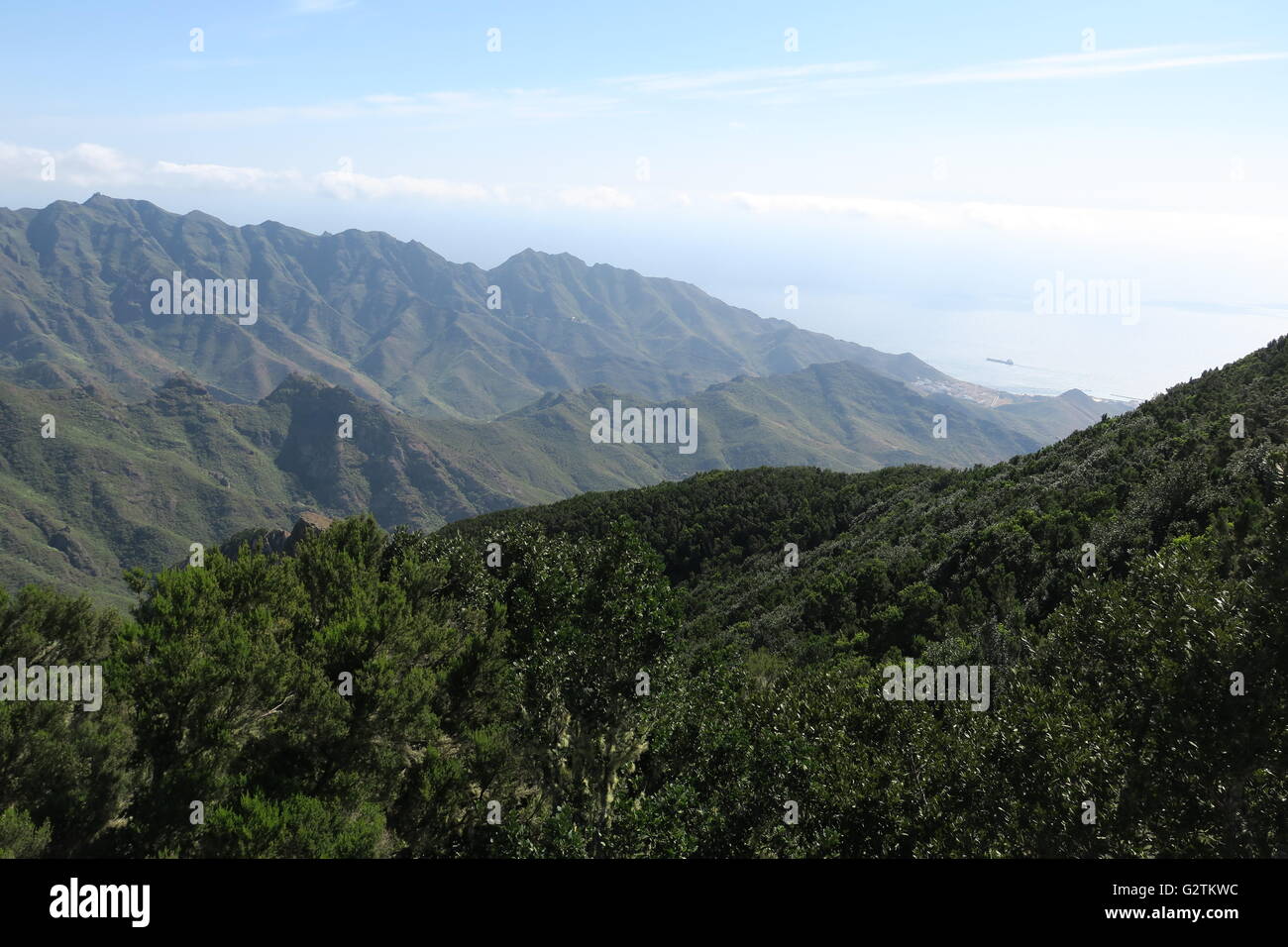 Tha Anaga Mountains, a lush green range of volcanic mountains at the NE end of the island of Tenerife. Stock Photo