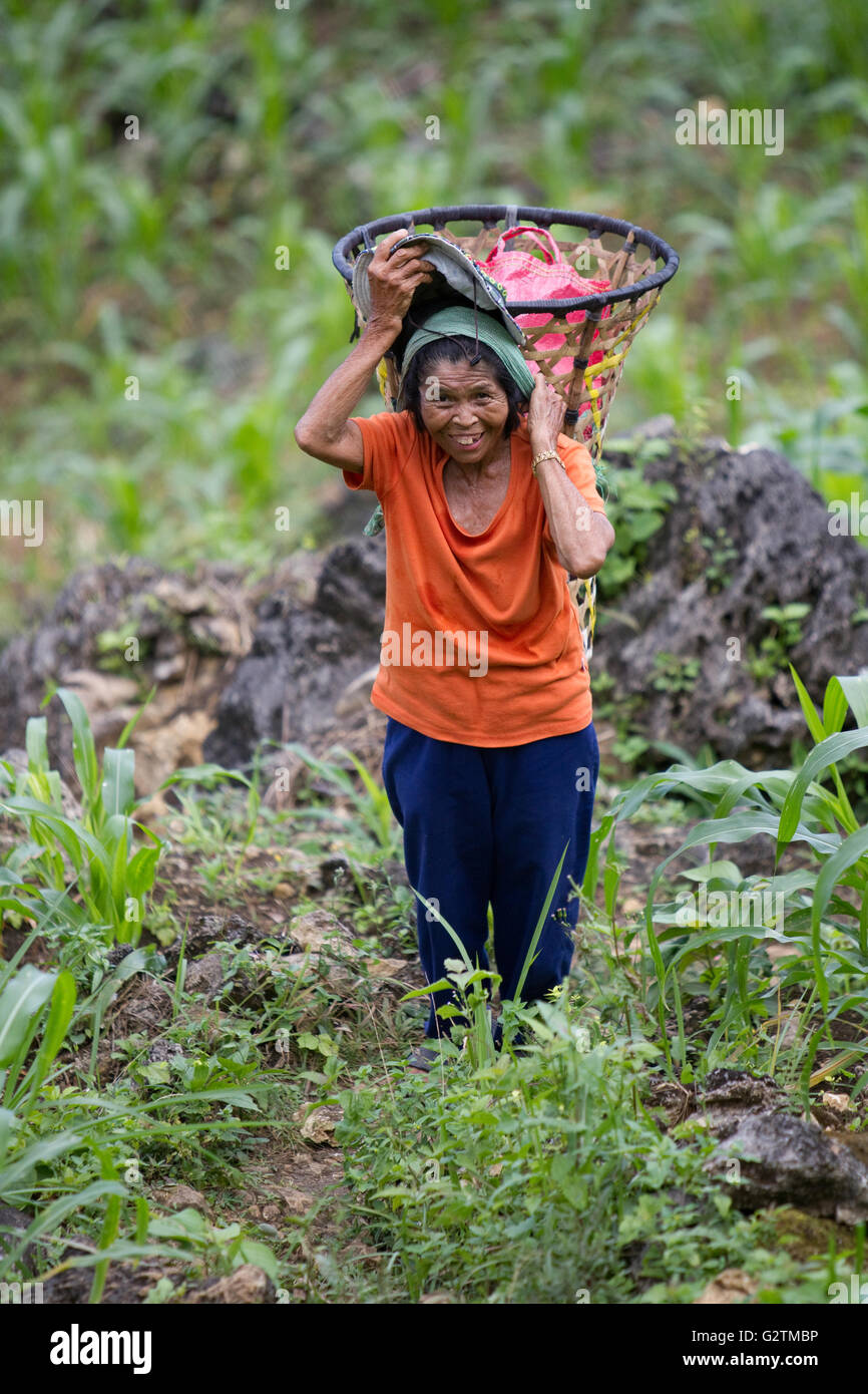 Filipino woman hires stock photography and images Alamy