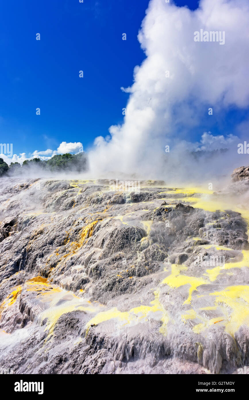 Pohutu Geyser and Prince of Wales Feathers Geyser, Te Puia, Whakarewarewa Thermal Valley, Rotorua, New Zealand Stock Photo