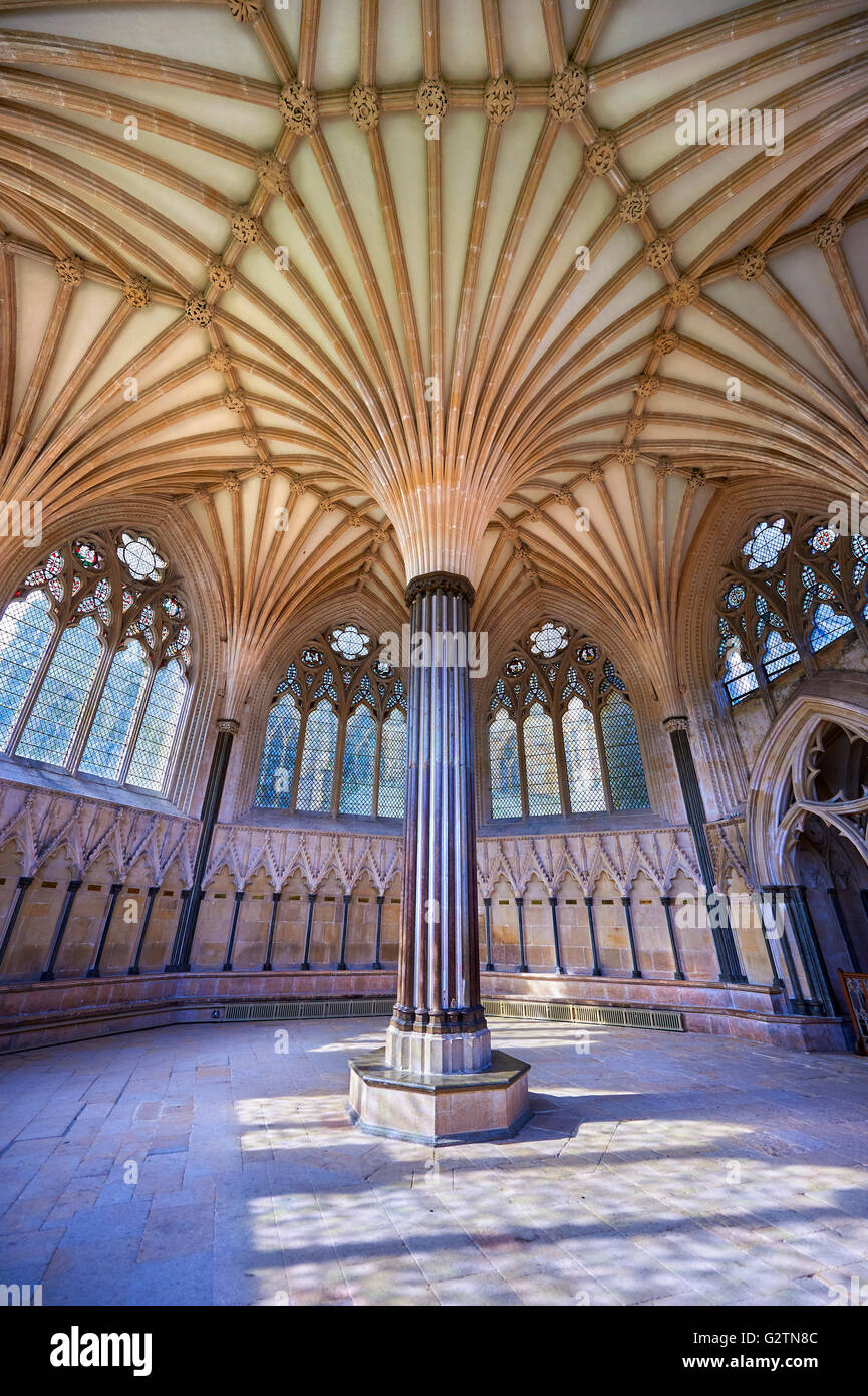 Vaulted ceiling of the Chapter House of the medieval Wells Cathedral, English Gothic style, Wells, Somerset, England Stock Photo
