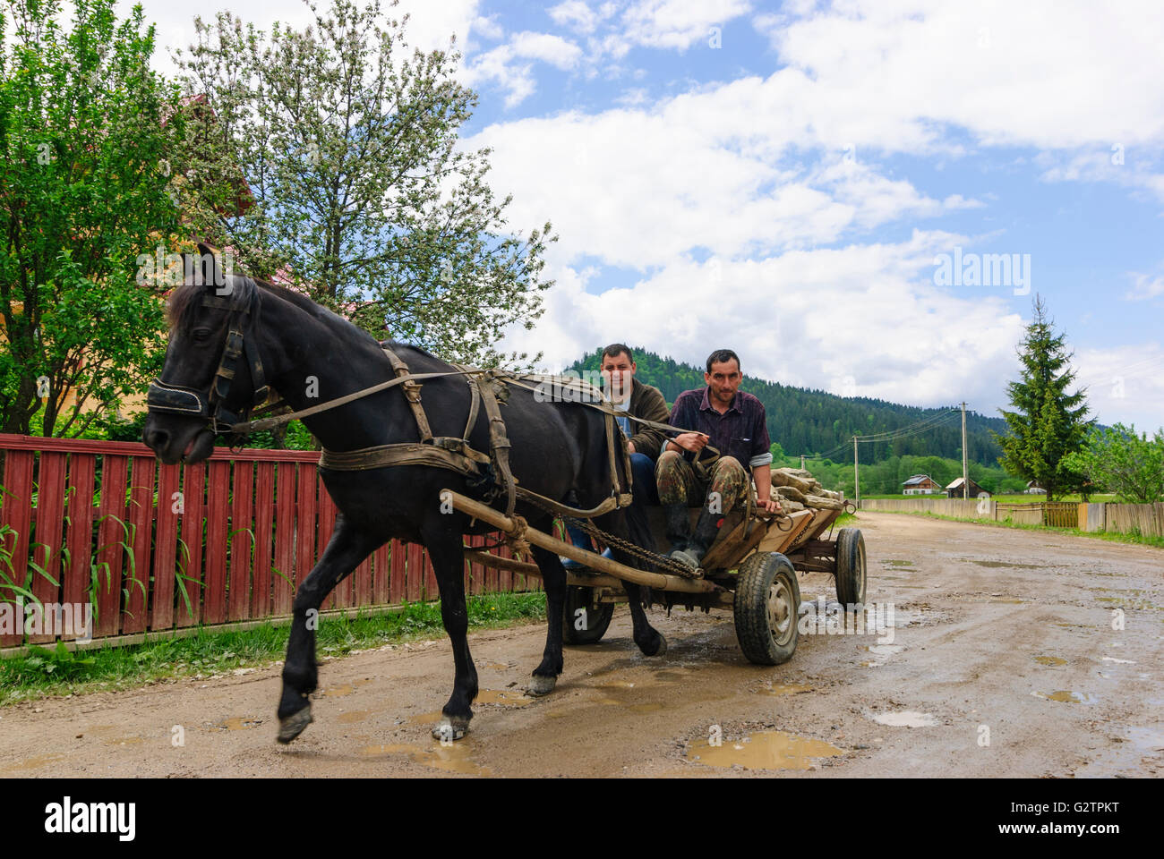 horse cart 2 guys village Subcarpathian, Romania, Moldova, Moldavia