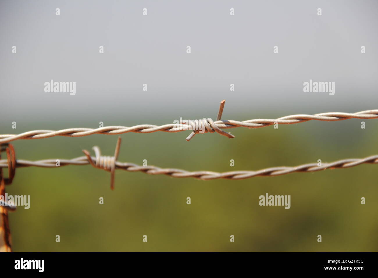 Close up of a barbed wire fence at the Flint River Bluff Stock Photo