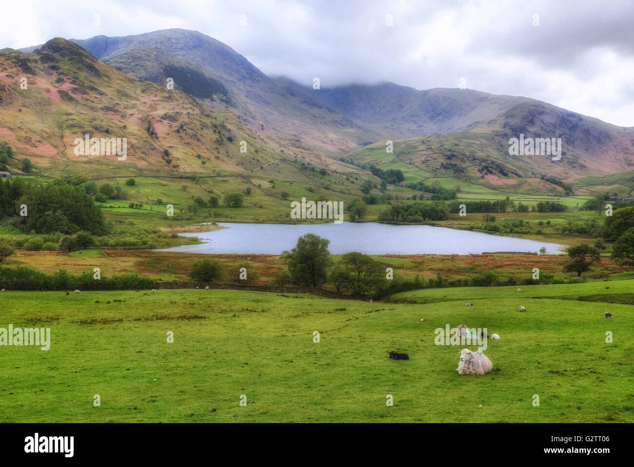 Little Langdale, Lake District, Cumbria, England, UK Stock Photo